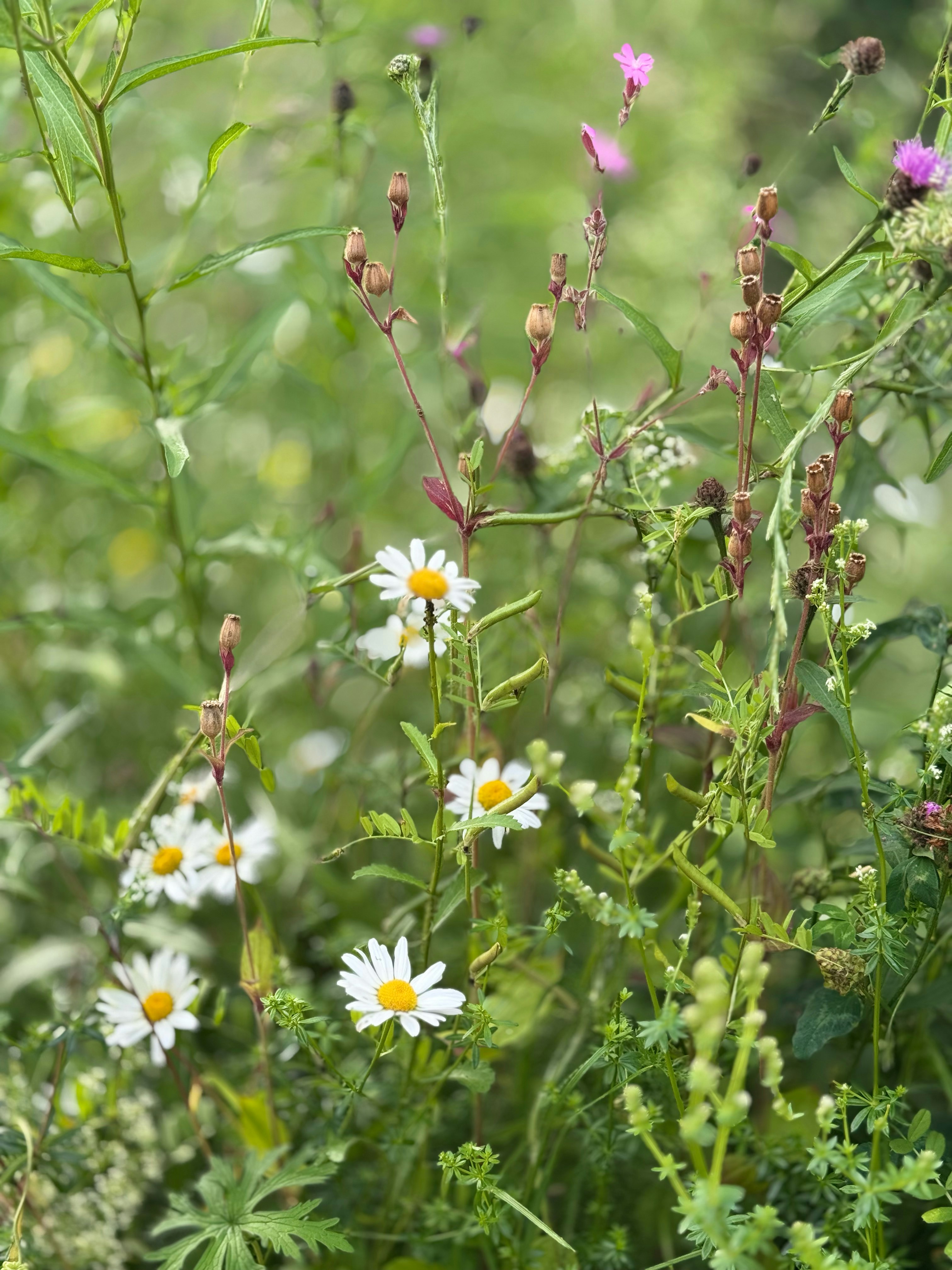 Photo by otterlabsltd