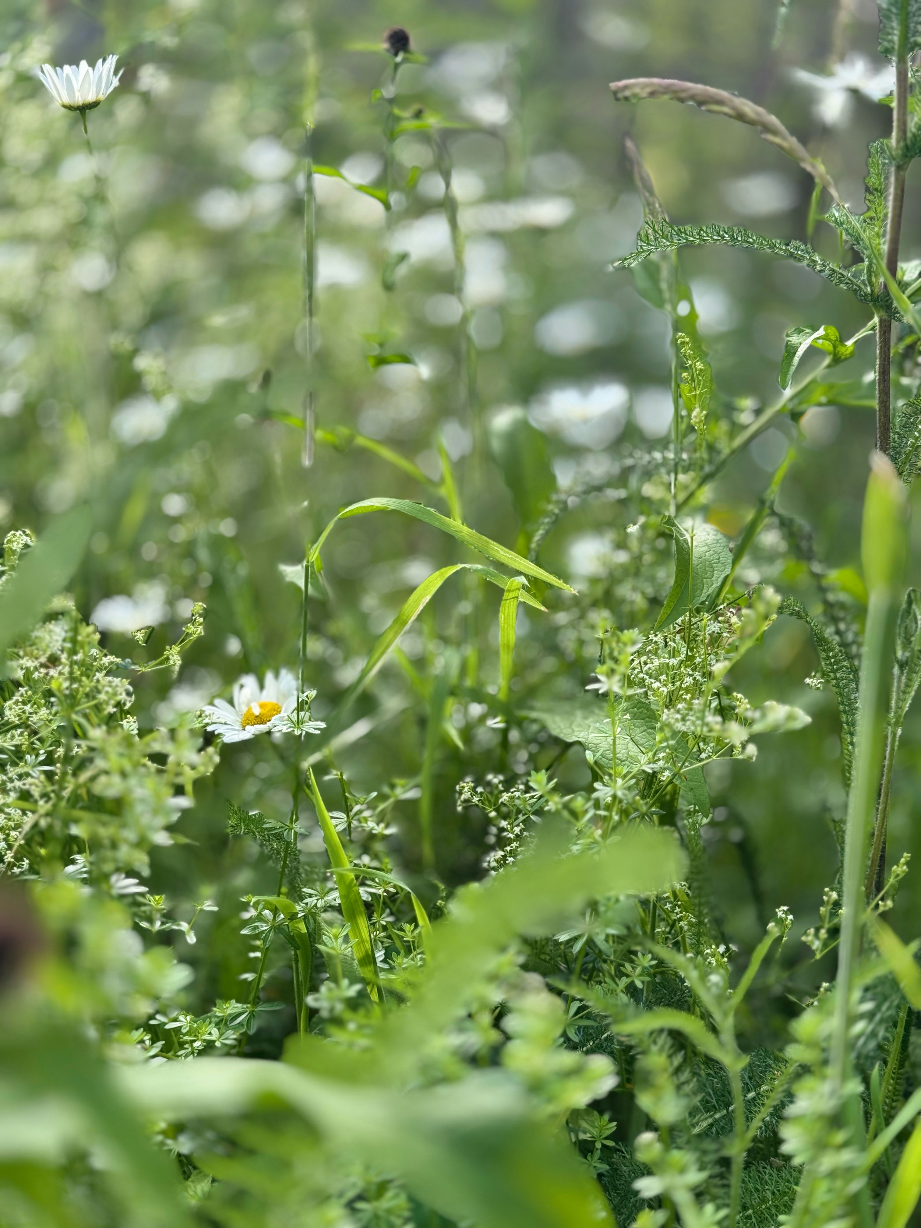 Photo by otterlabsltd