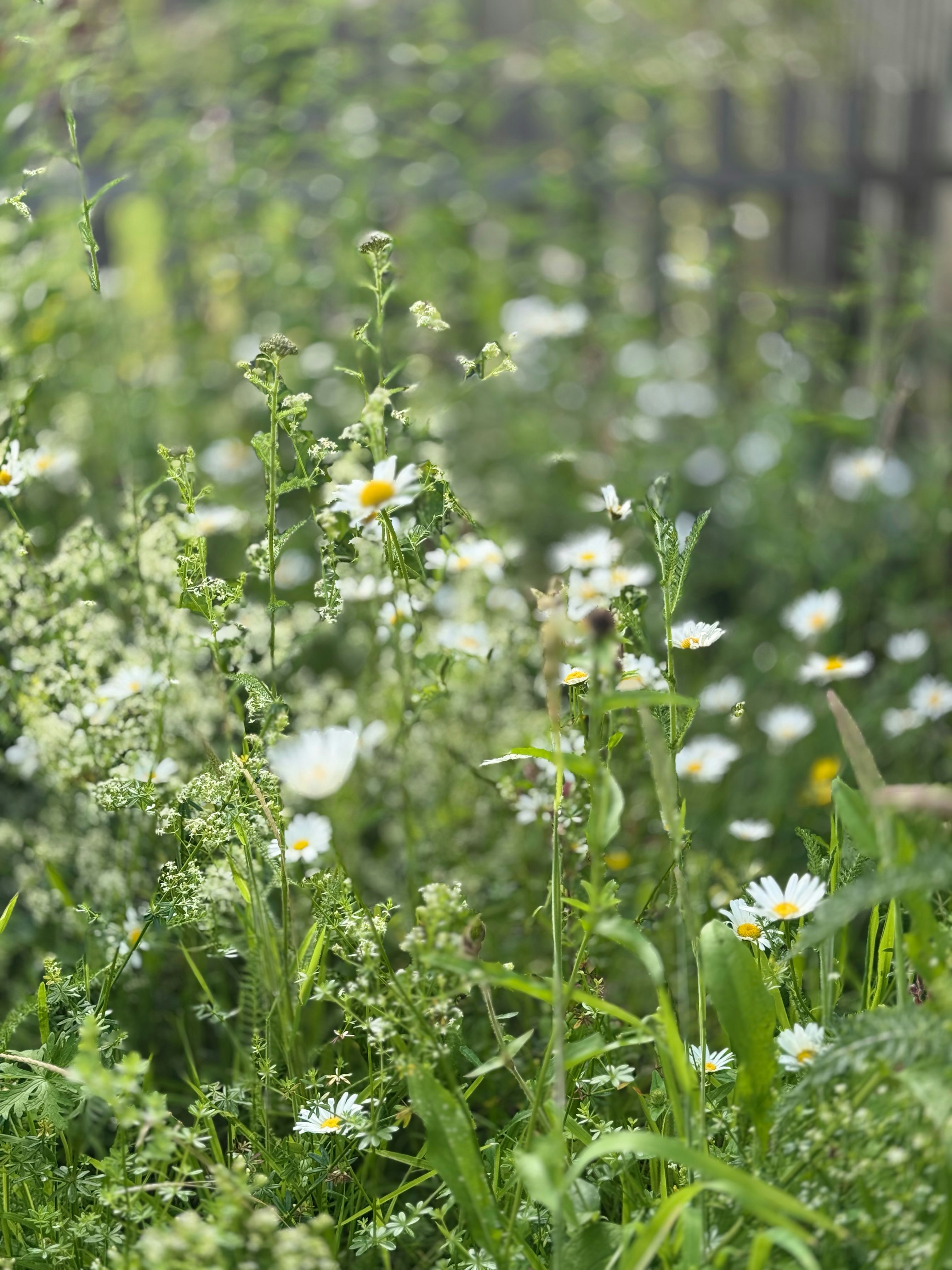 Photo by otterlabsltd