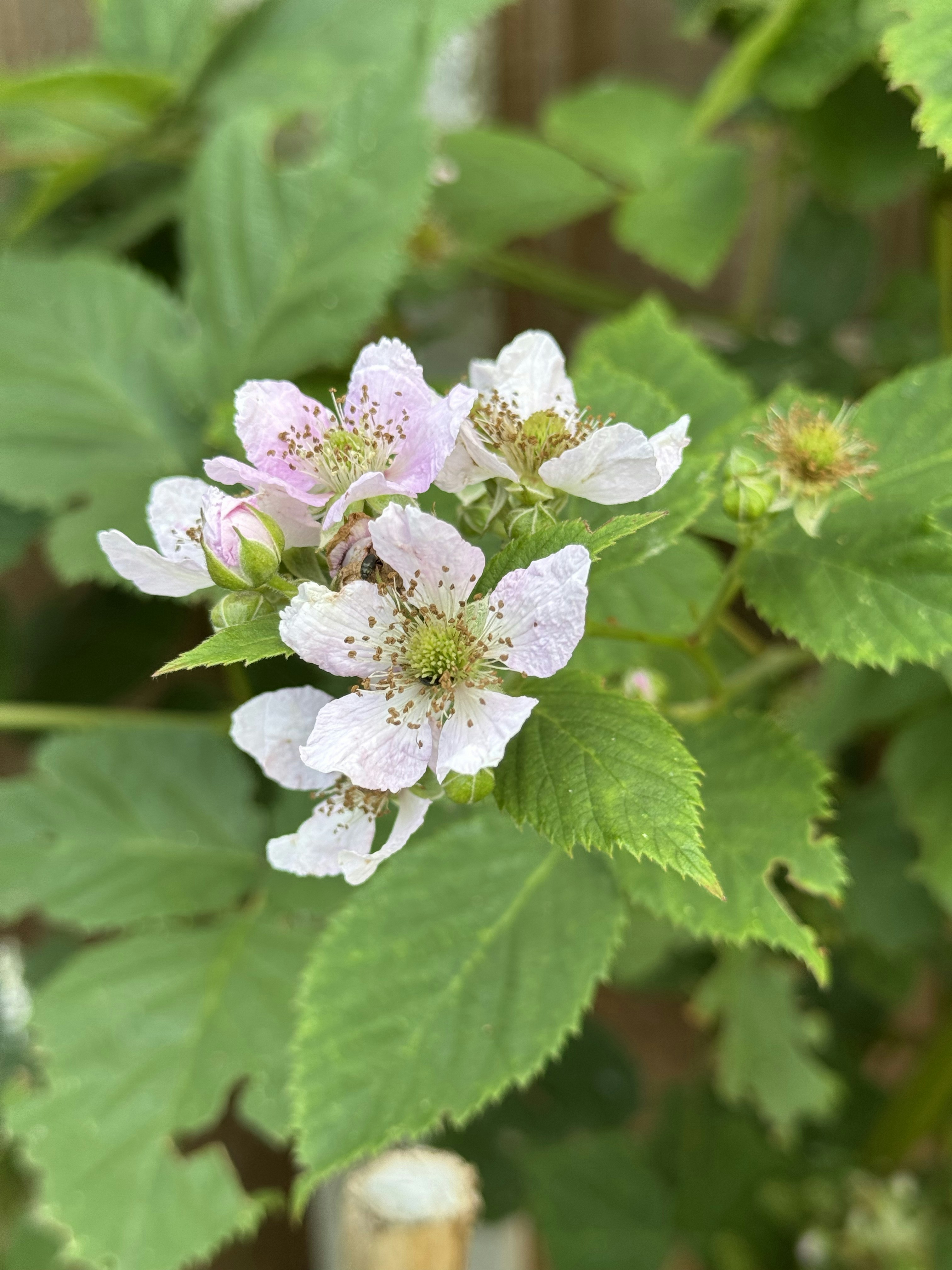 Photo by otterlabsltd