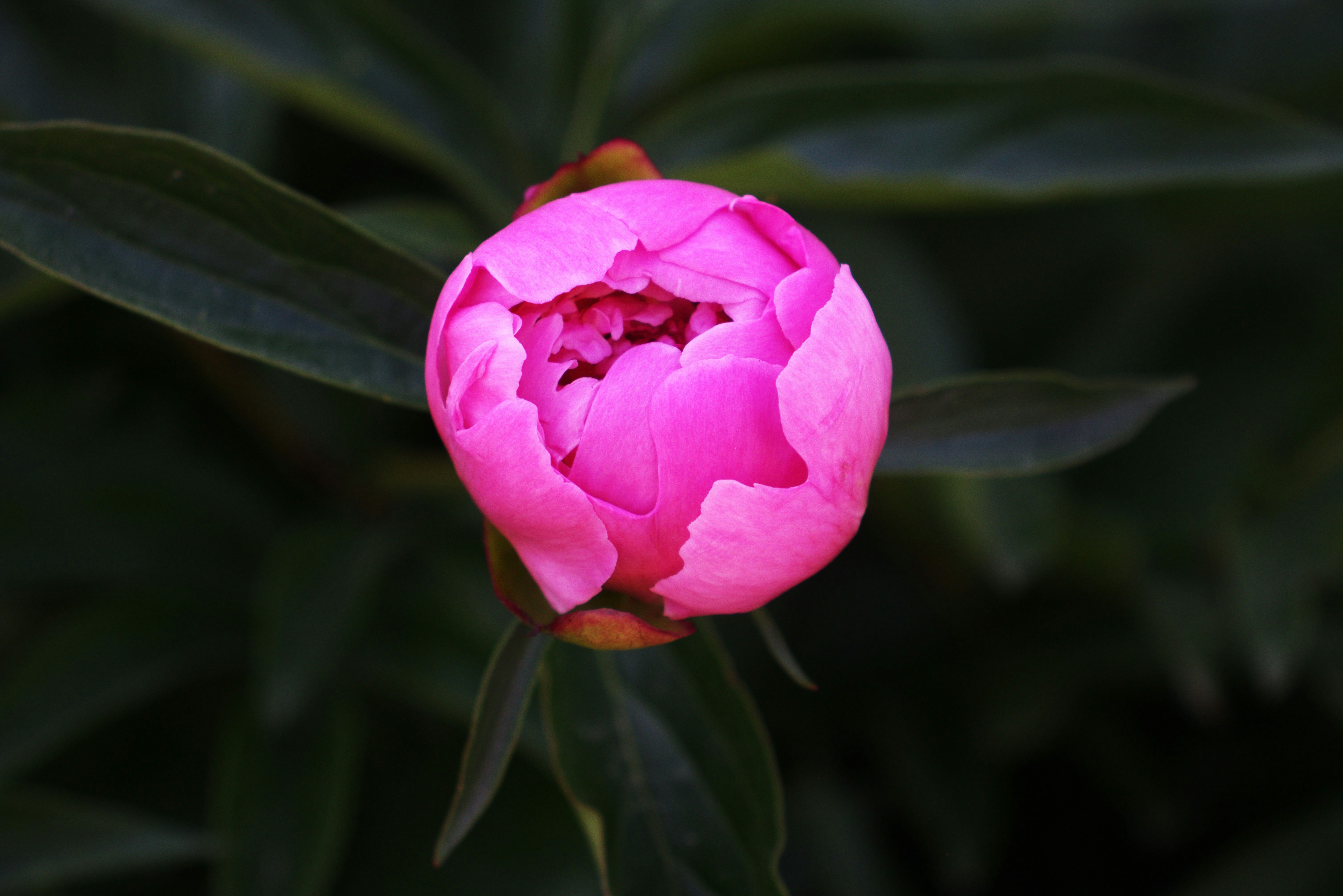 Photo by stasiaspark