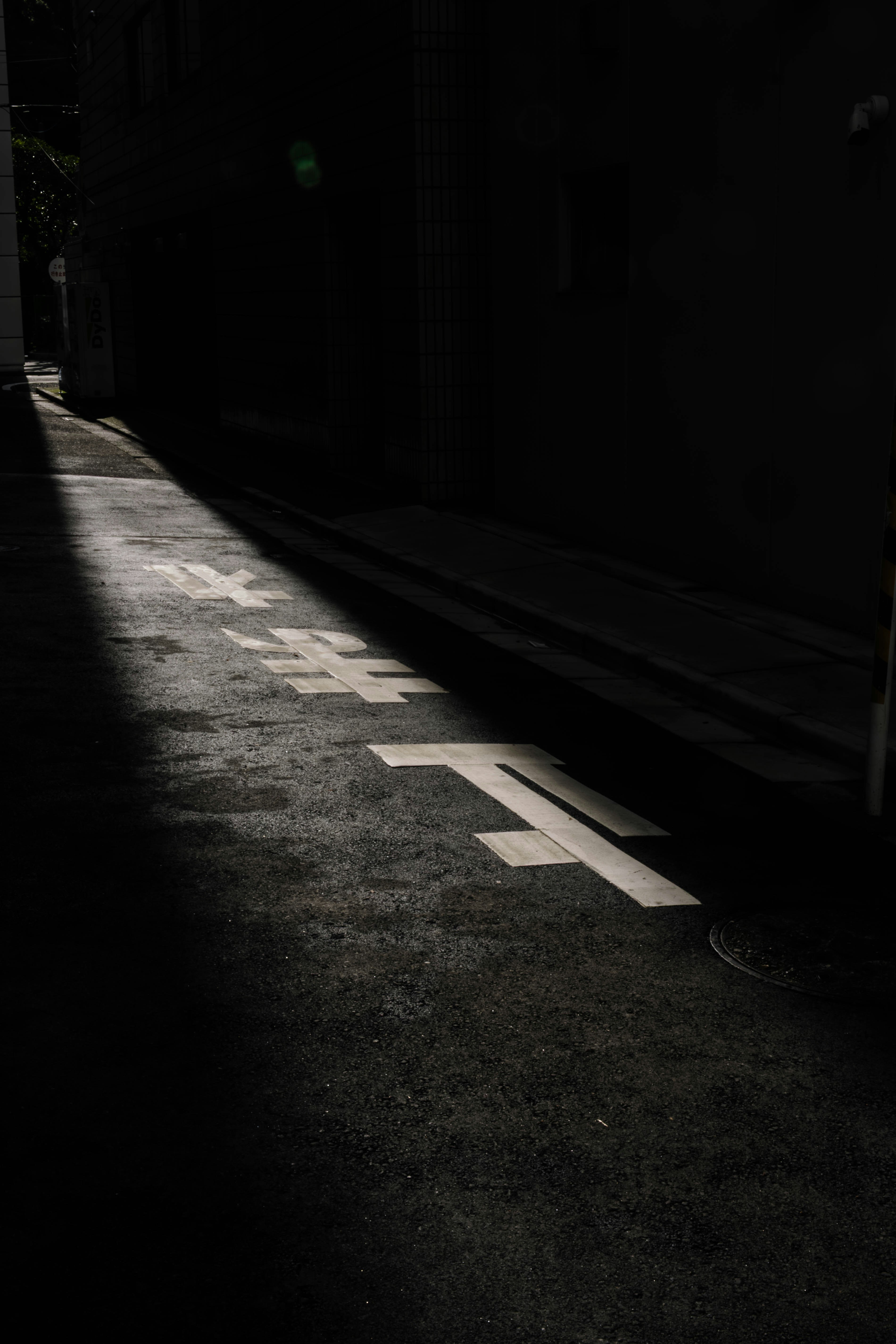 Sunlight illuminates japanese text on the dark asphalt.