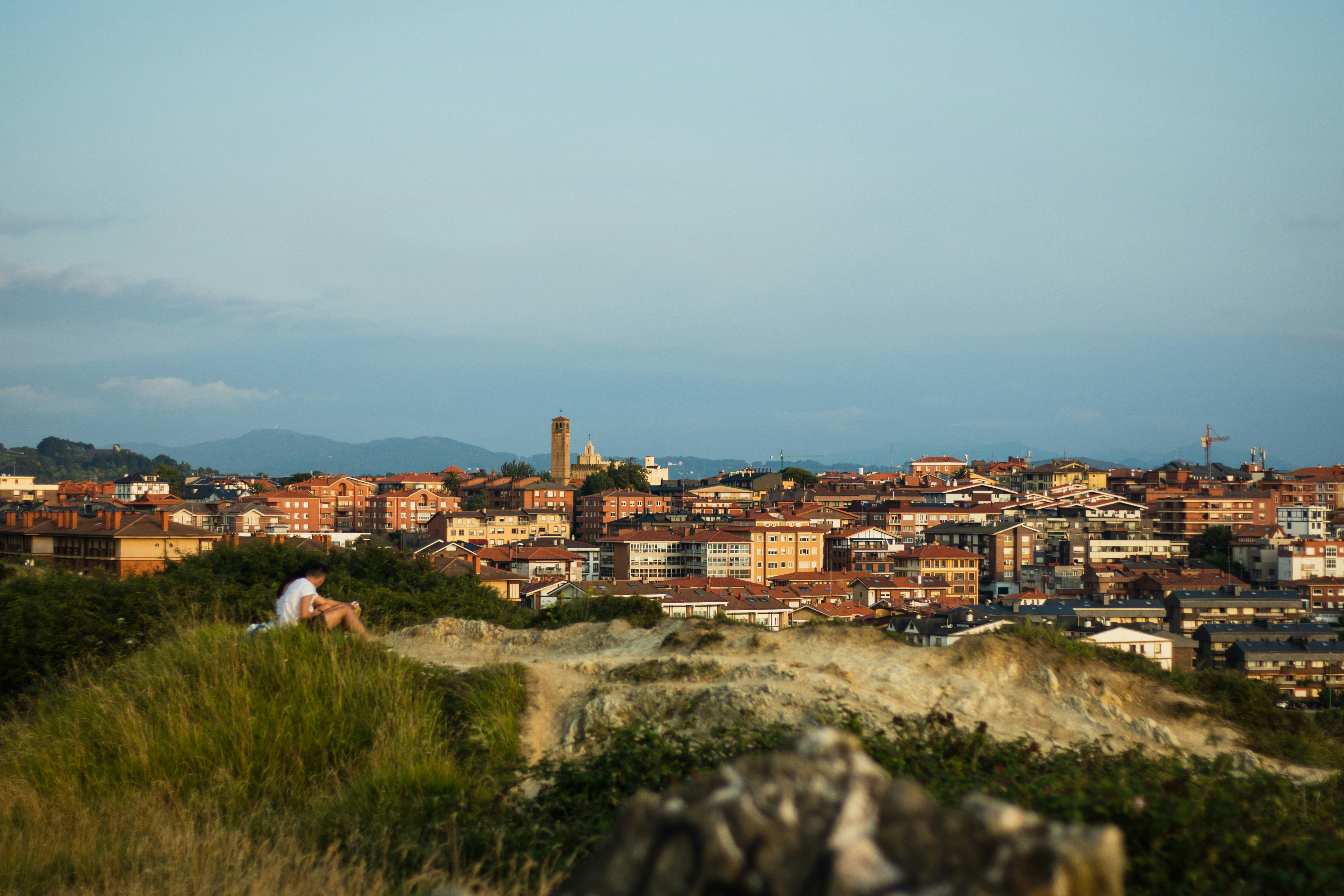 A cityscape is seen from a distance.
