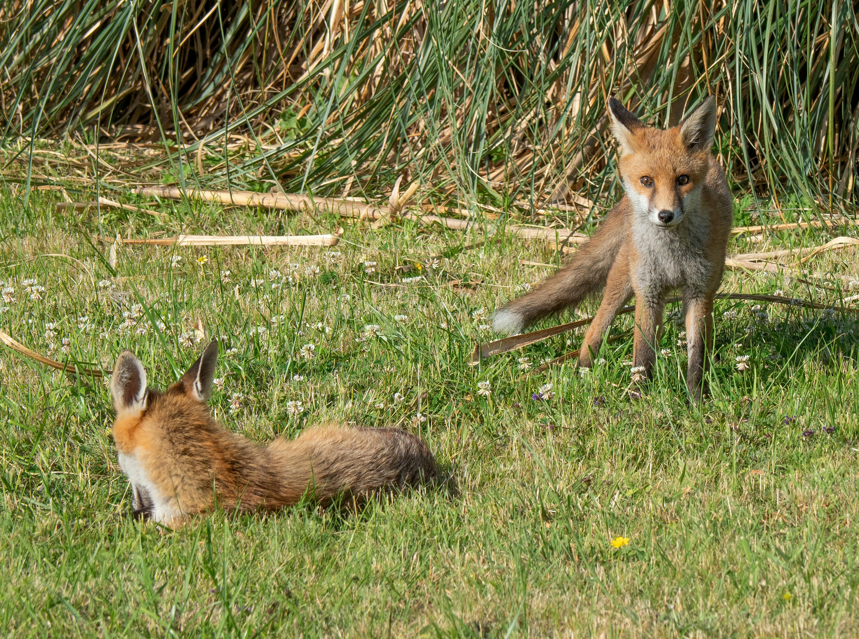 Photo by brett_jordan