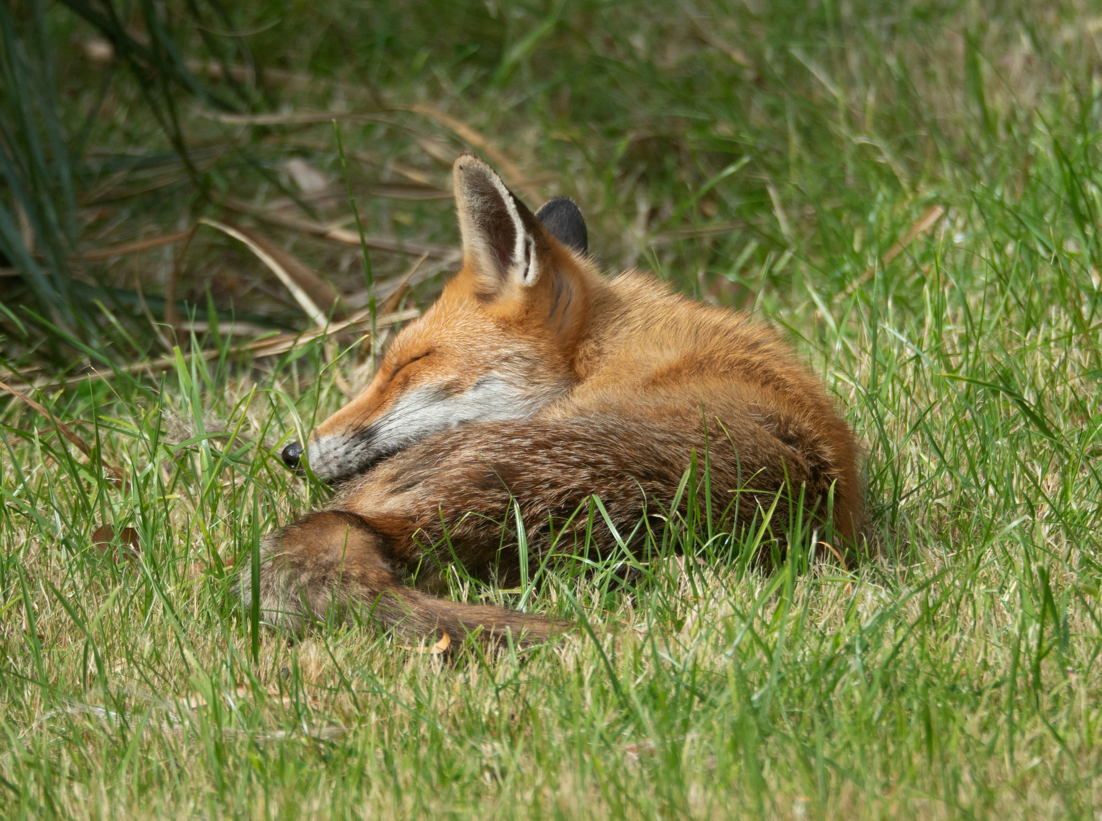 Photo by brett_jordan