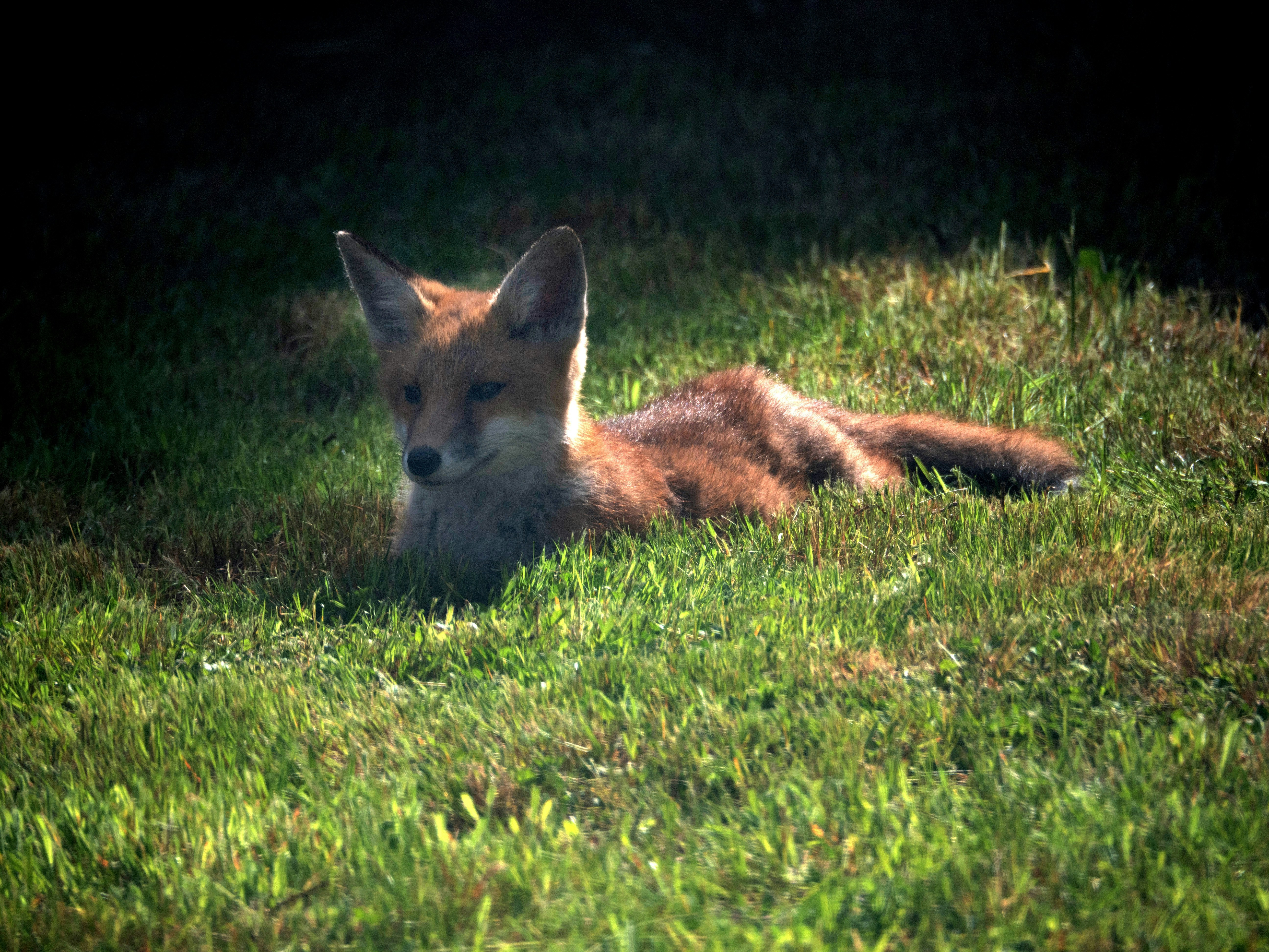 Photo by brett_jordan