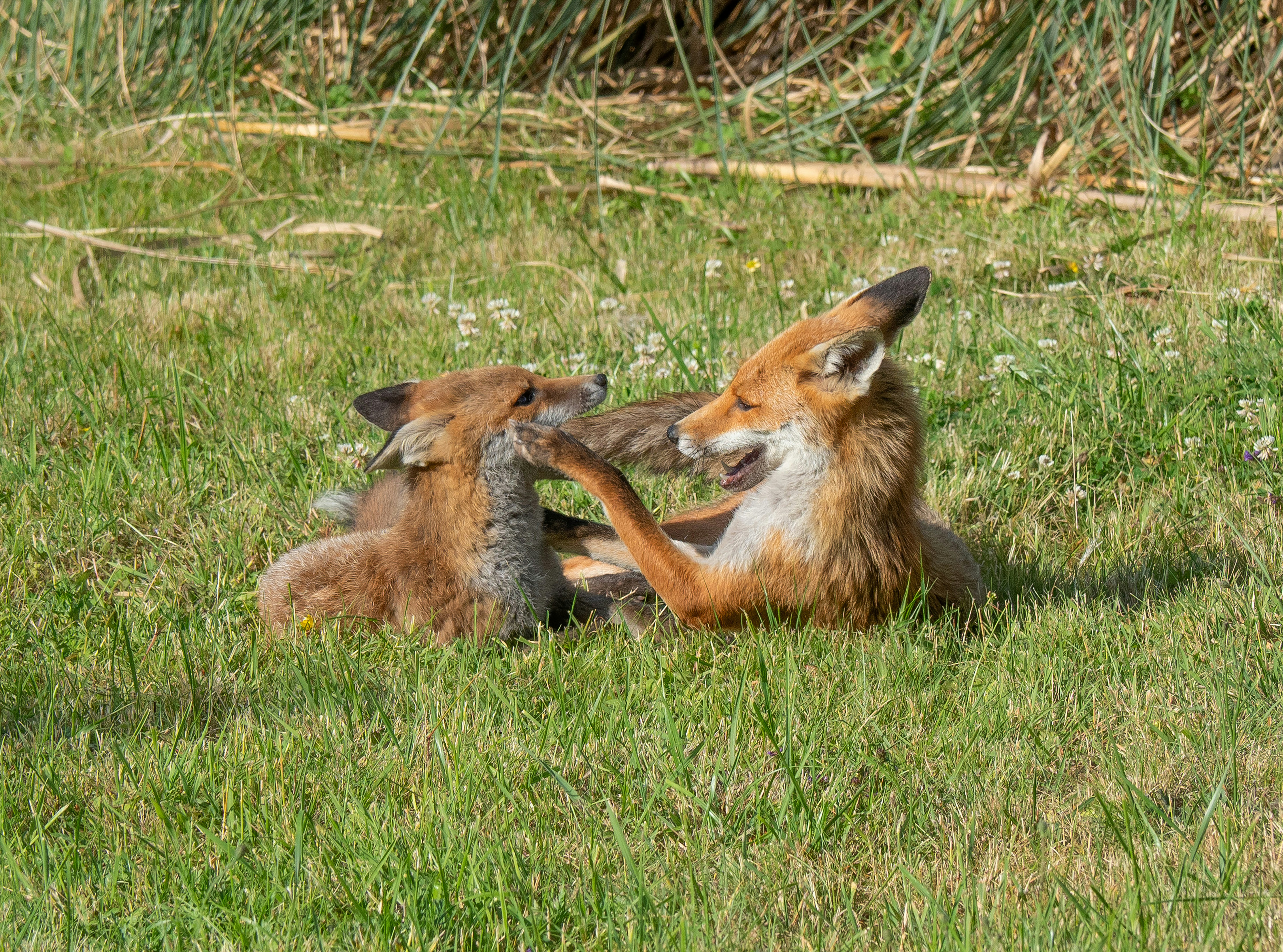 Photo by brett_jordan