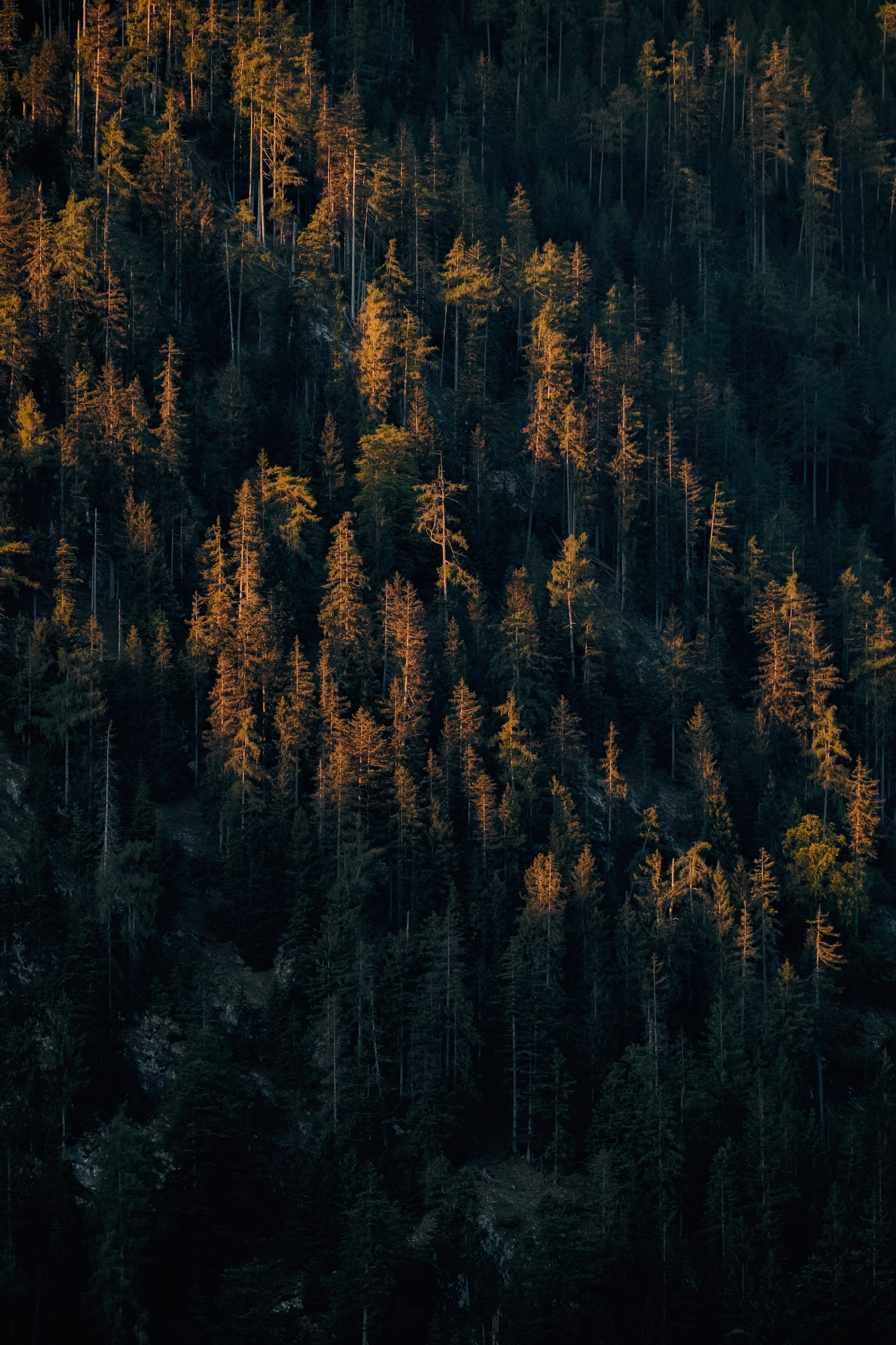 Photo by kevinmueller