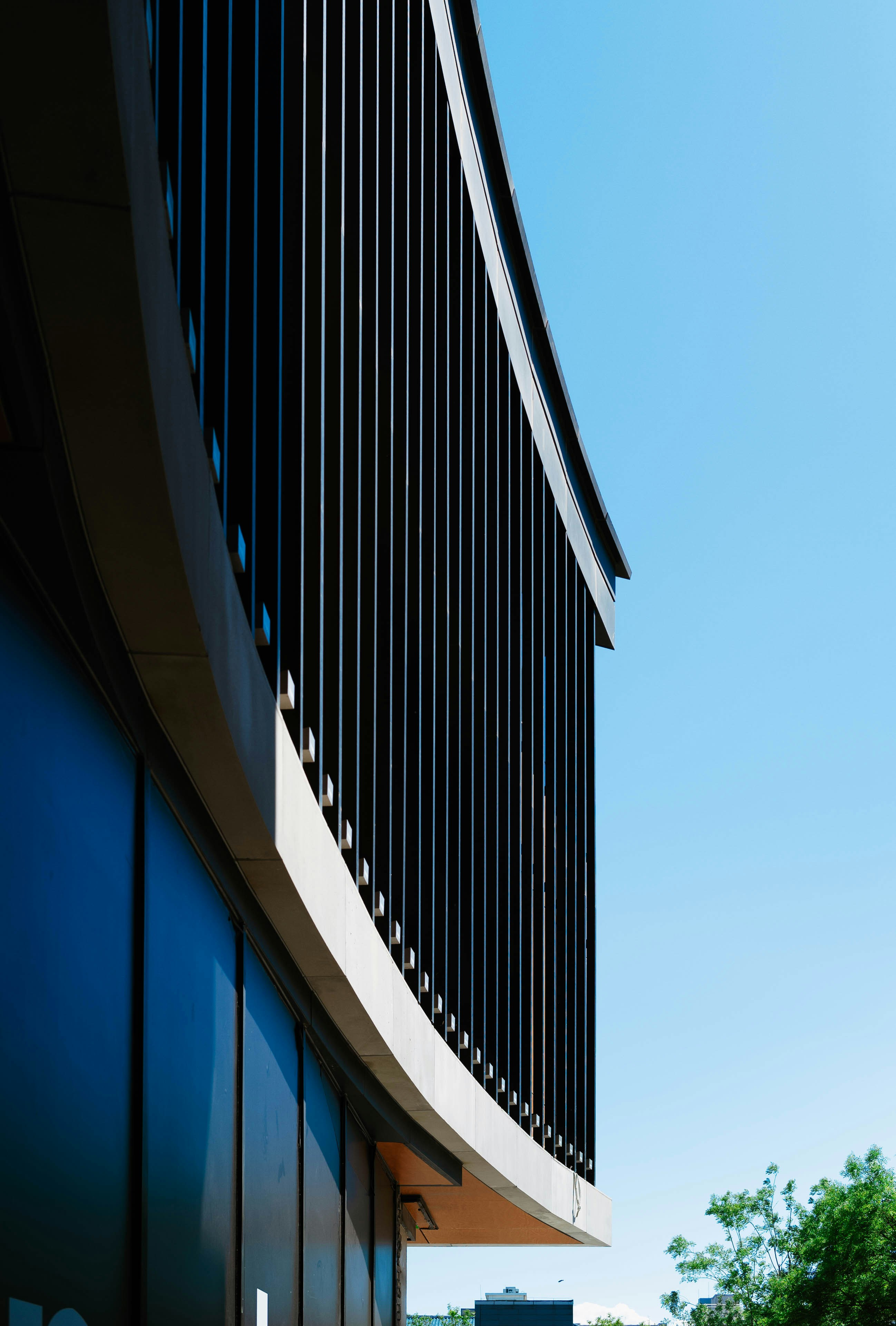 Photo by tommaomaoer