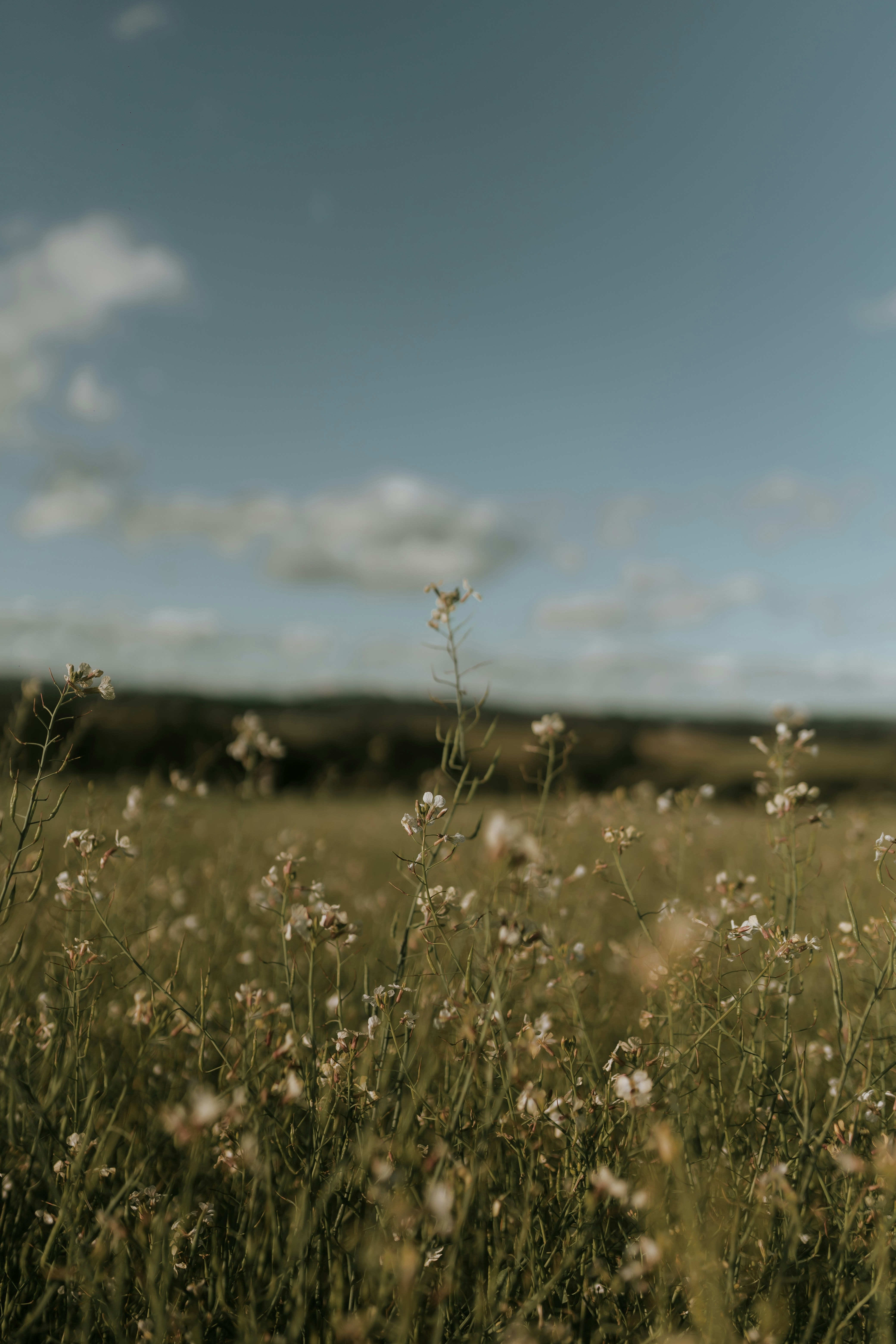 Photo by alexandermassph