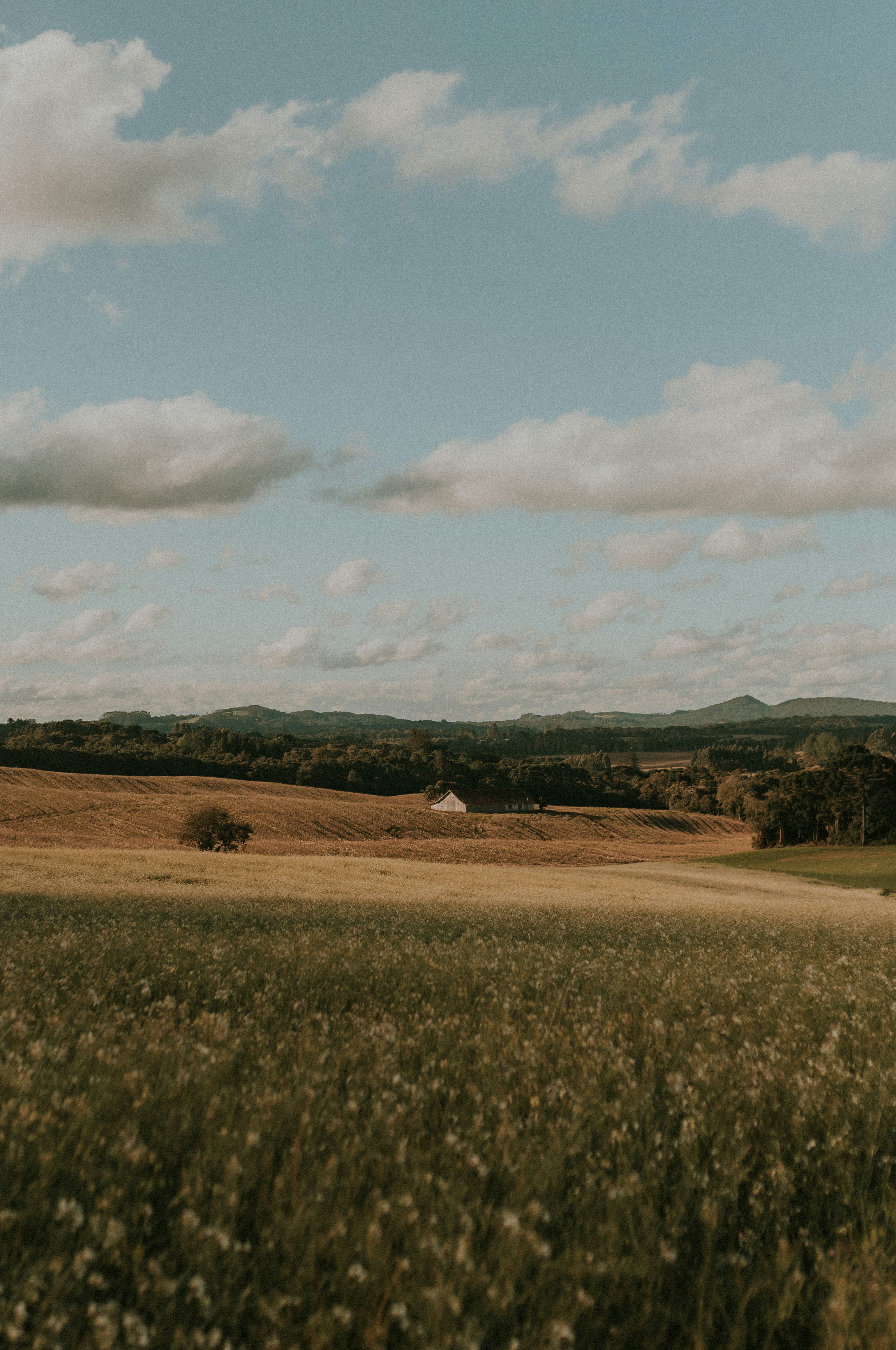 Photo by alexandermassph