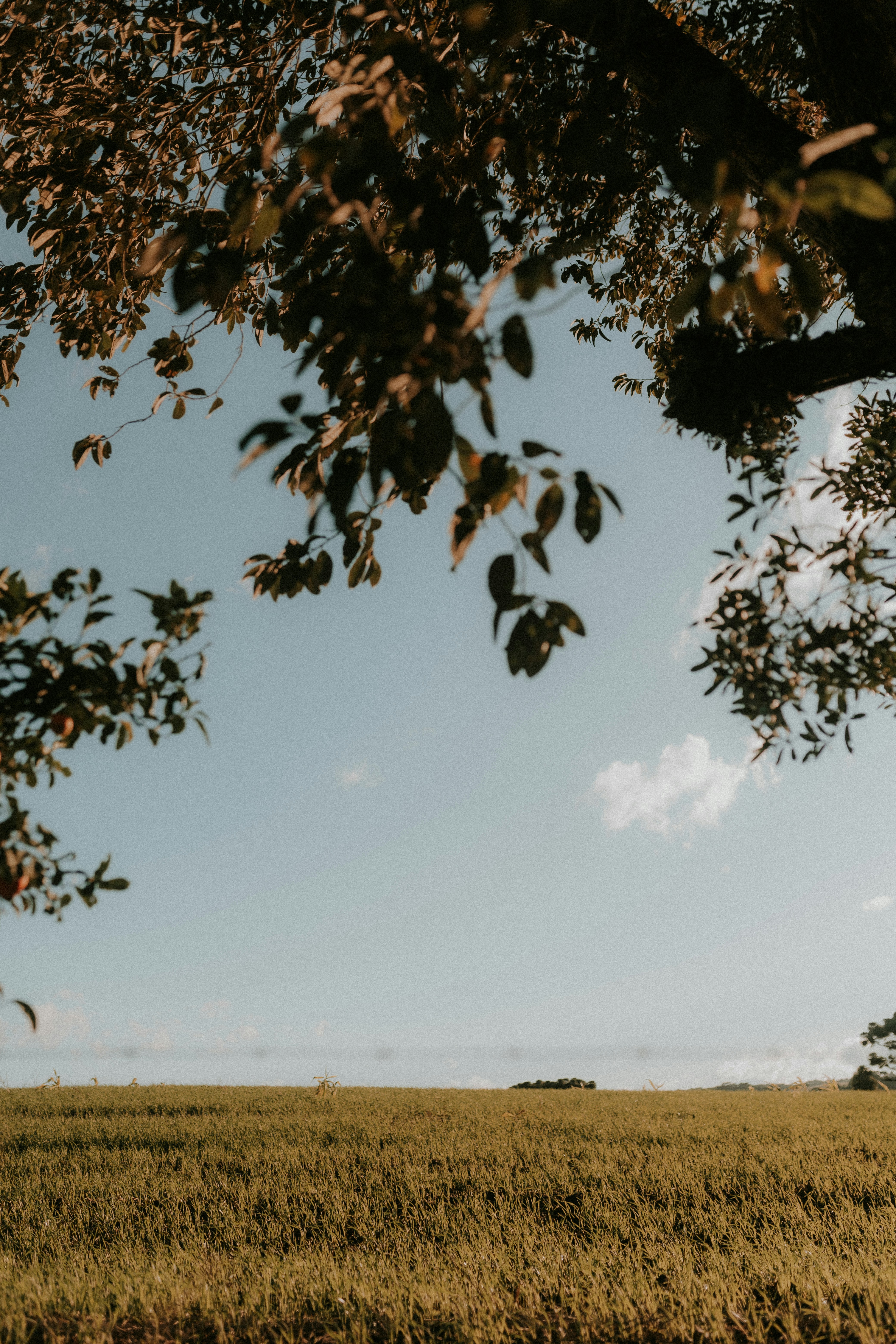 Photo by alexandermassph