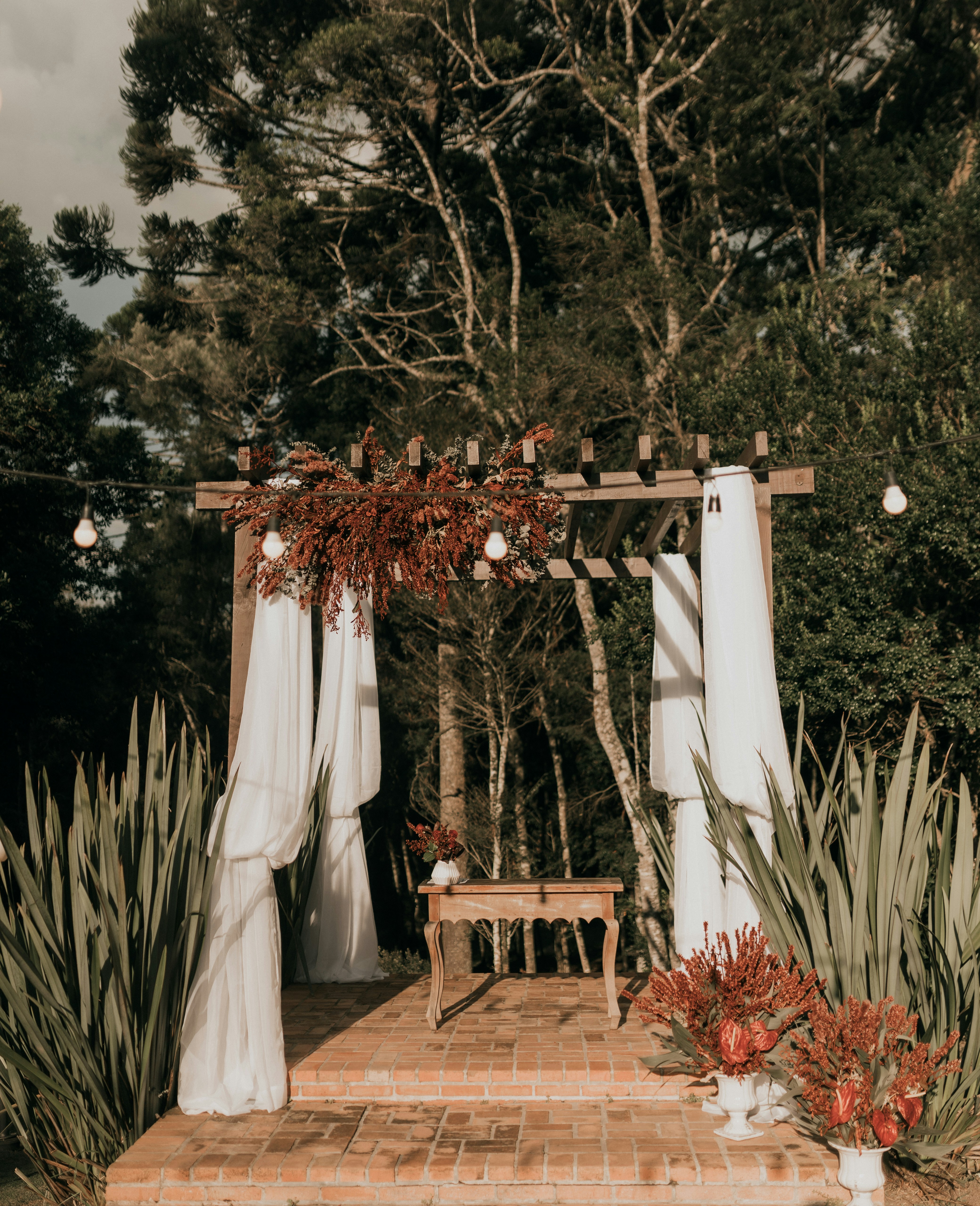 Photo by alexandermassph