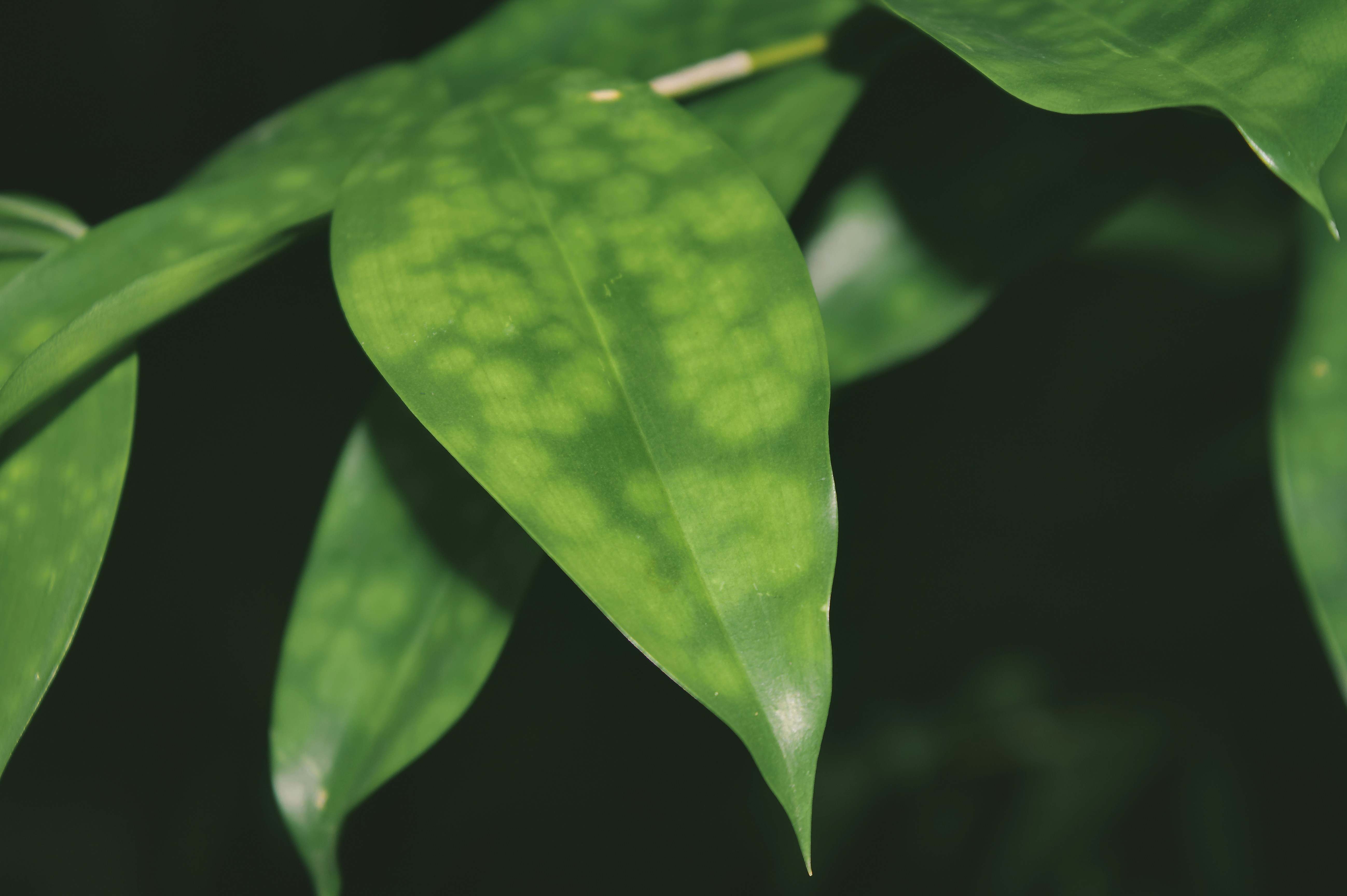 Photo by ervinerviansyah