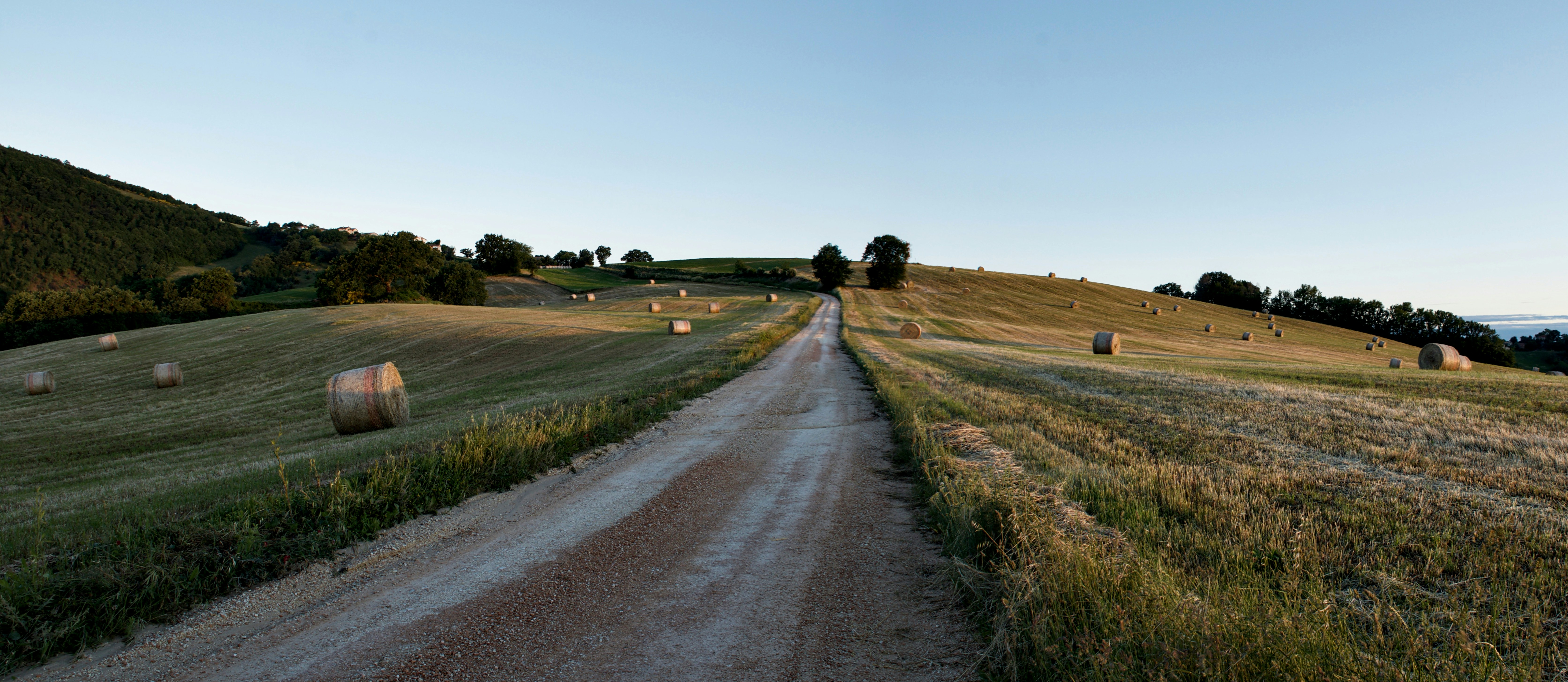 Photo by mariobeducci