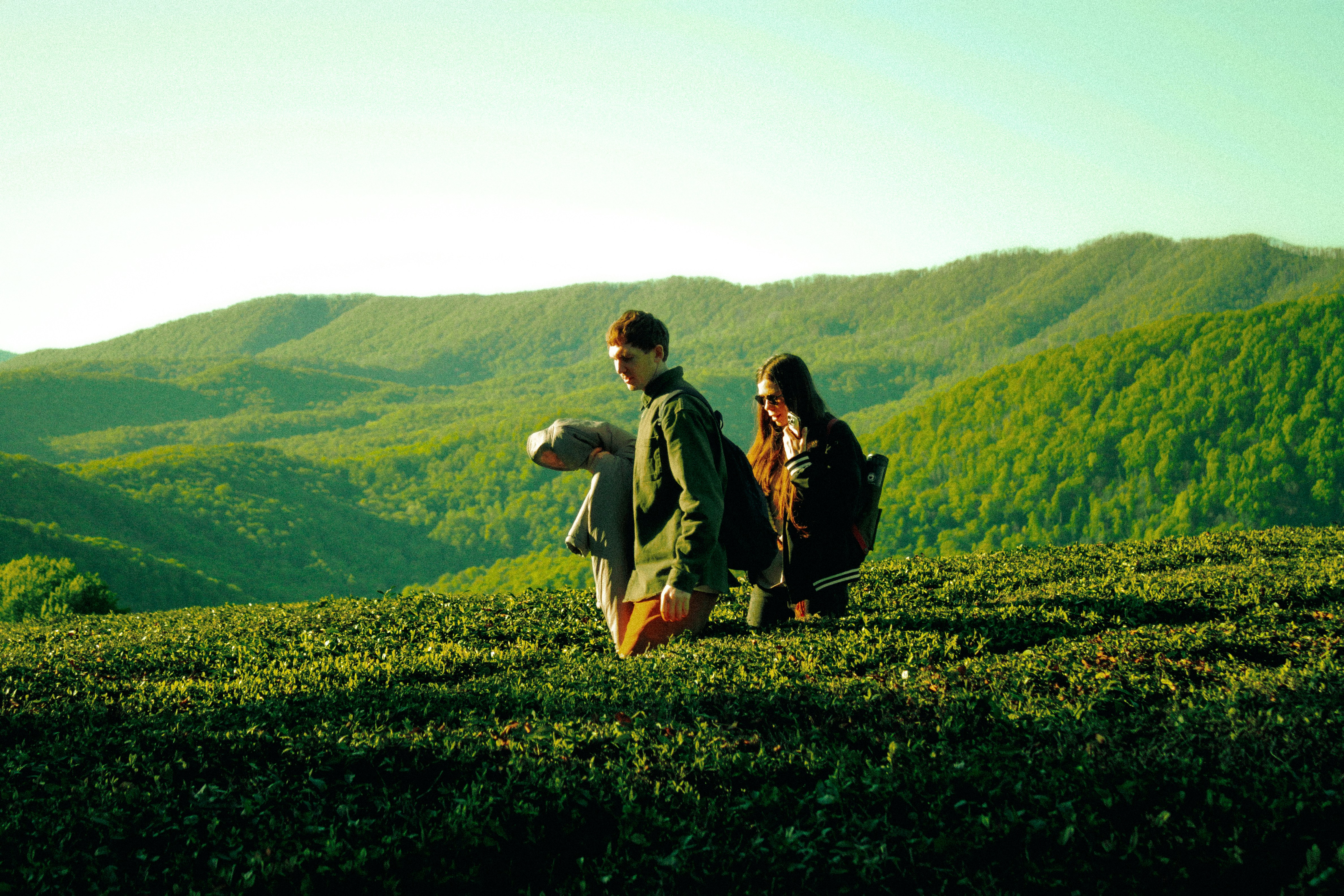group portrait wallpaper, wallpaper, Coordinating Outfits for Group Photos: A Guide 4