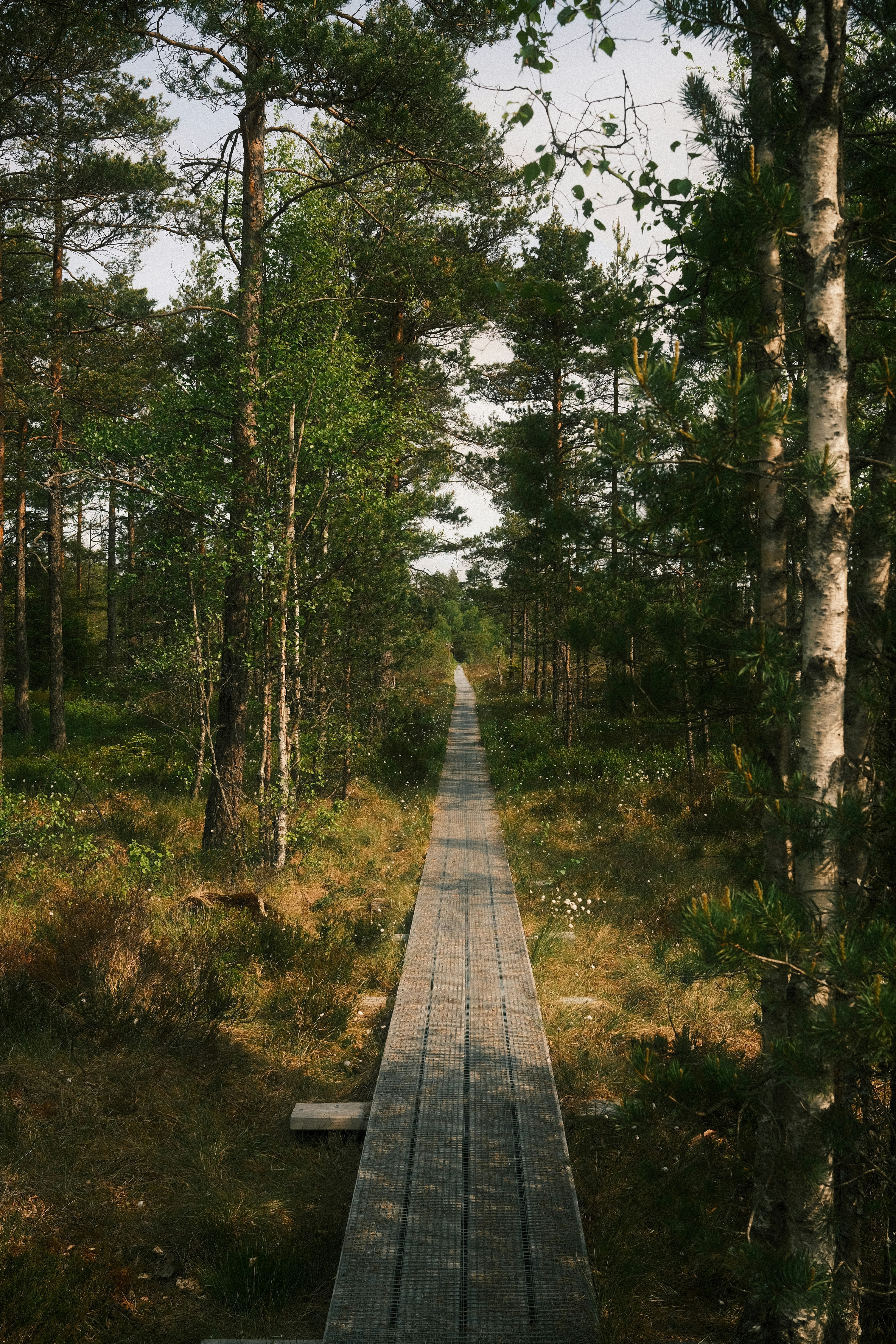 Photo by magnusjonasson