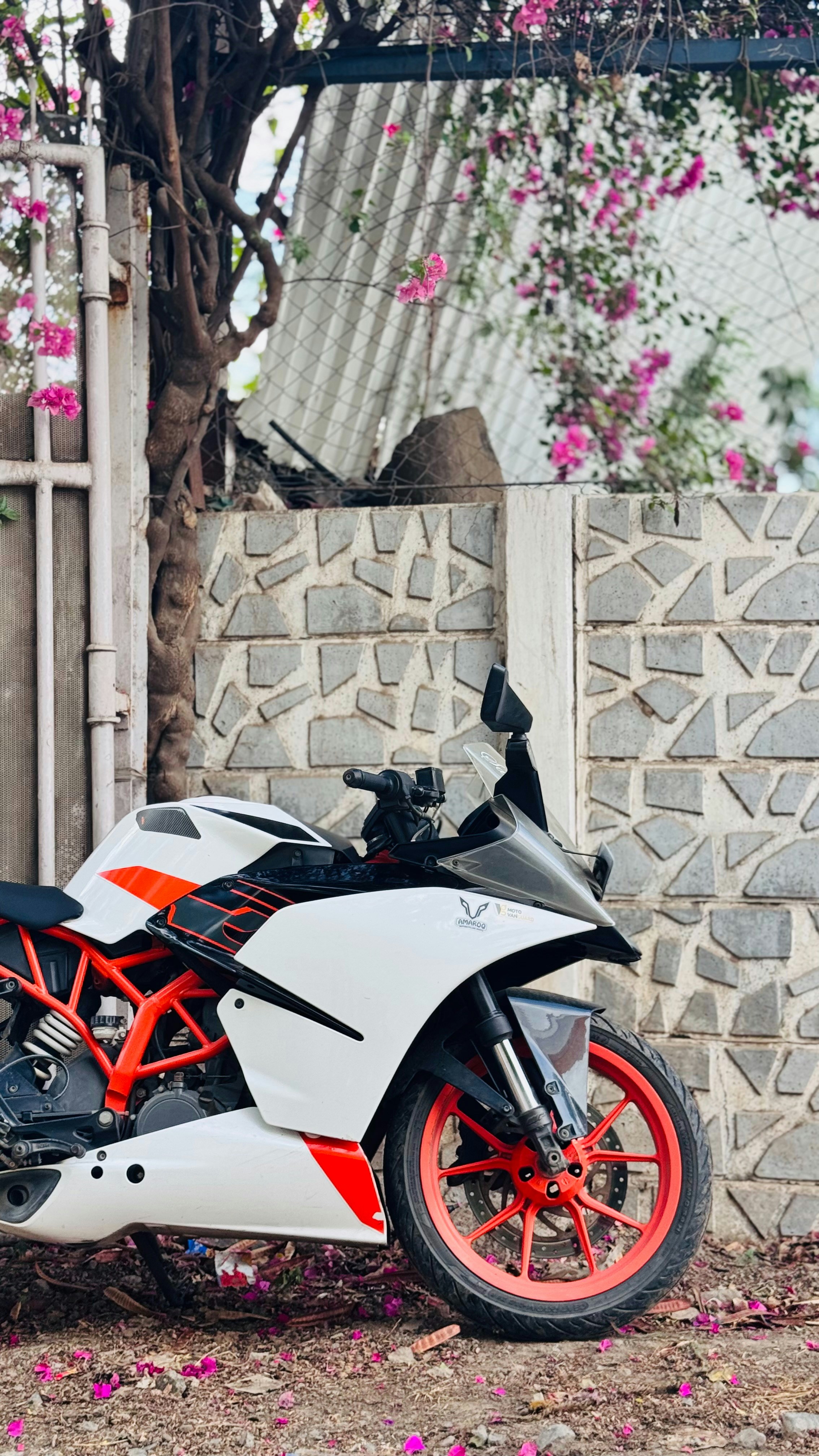 Photo by sudarshan1999