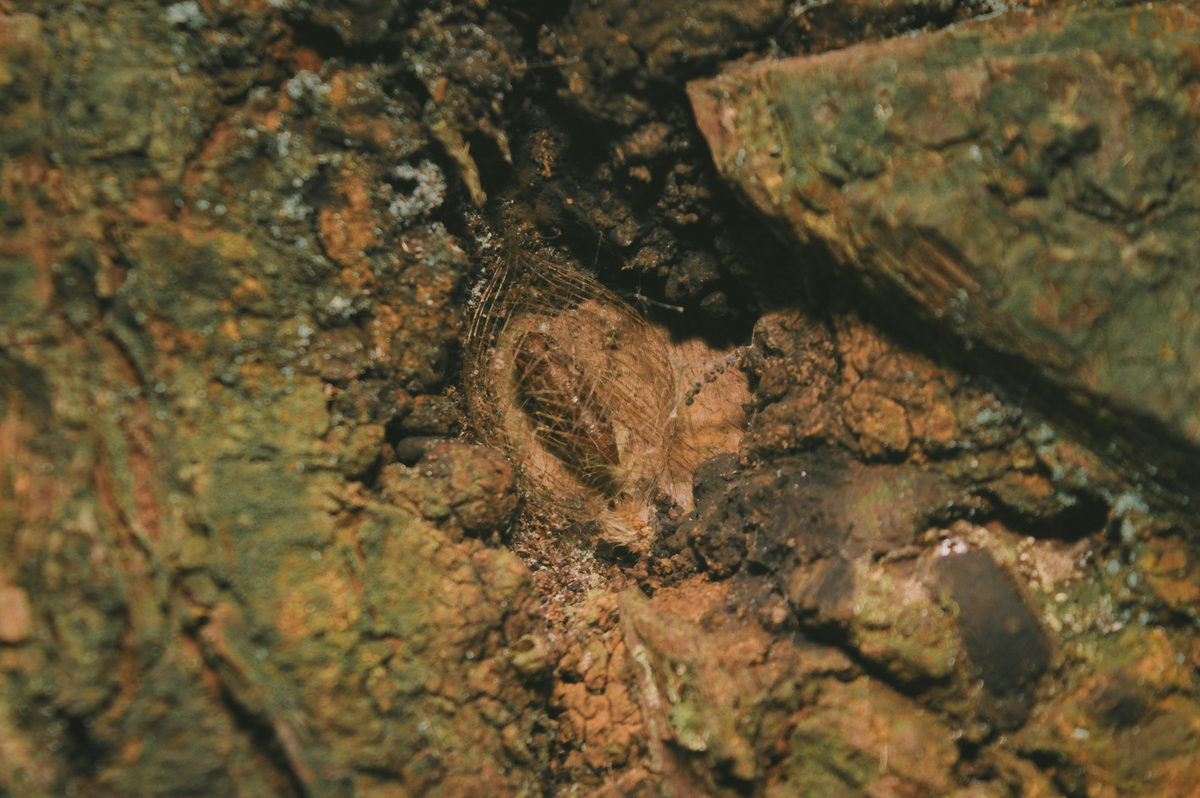 Photo by ervinerviansyah