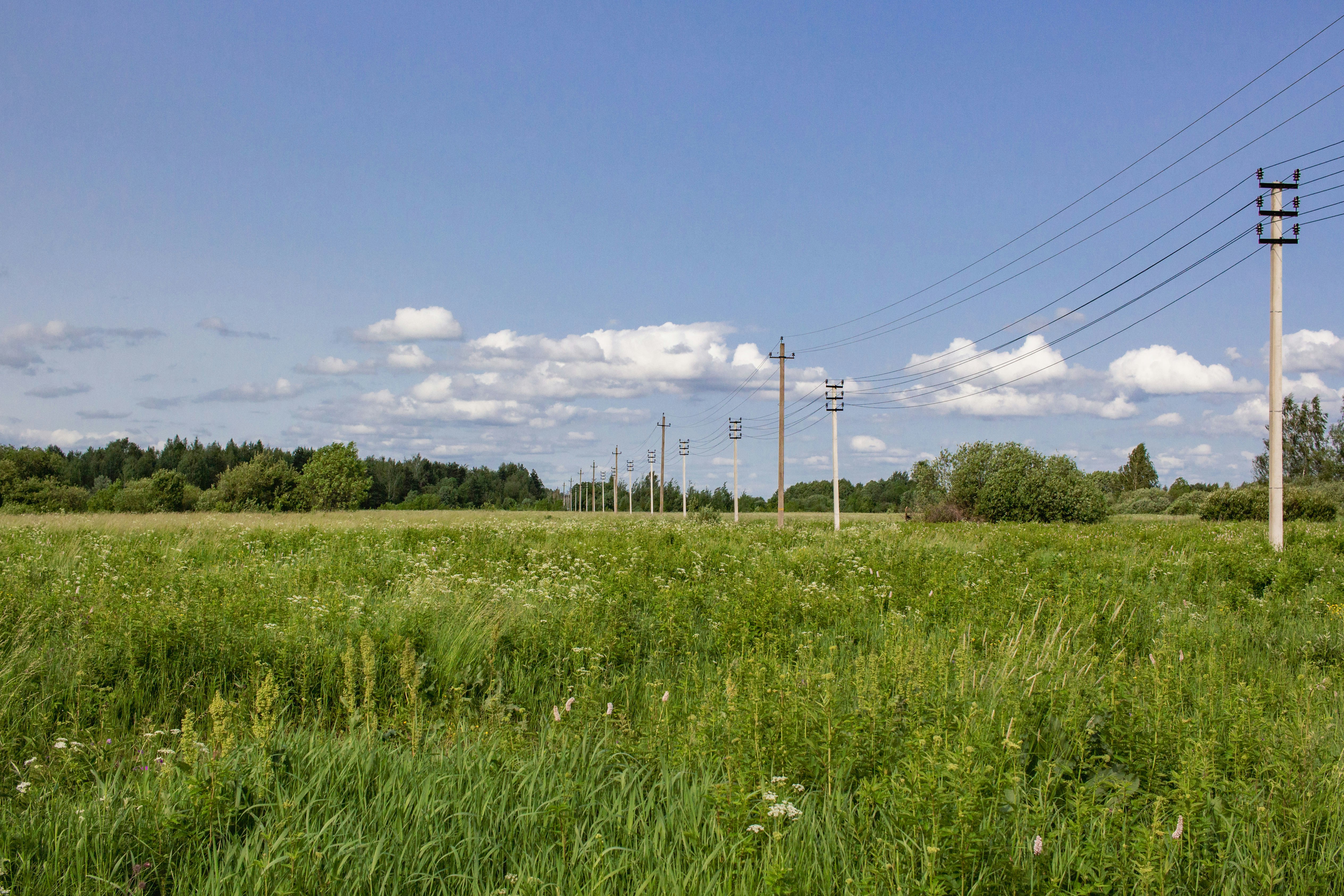 Rugged Edge Power: Designing Field Charging Stations for 2026 — Advanced Strategies for Event and Field Teams