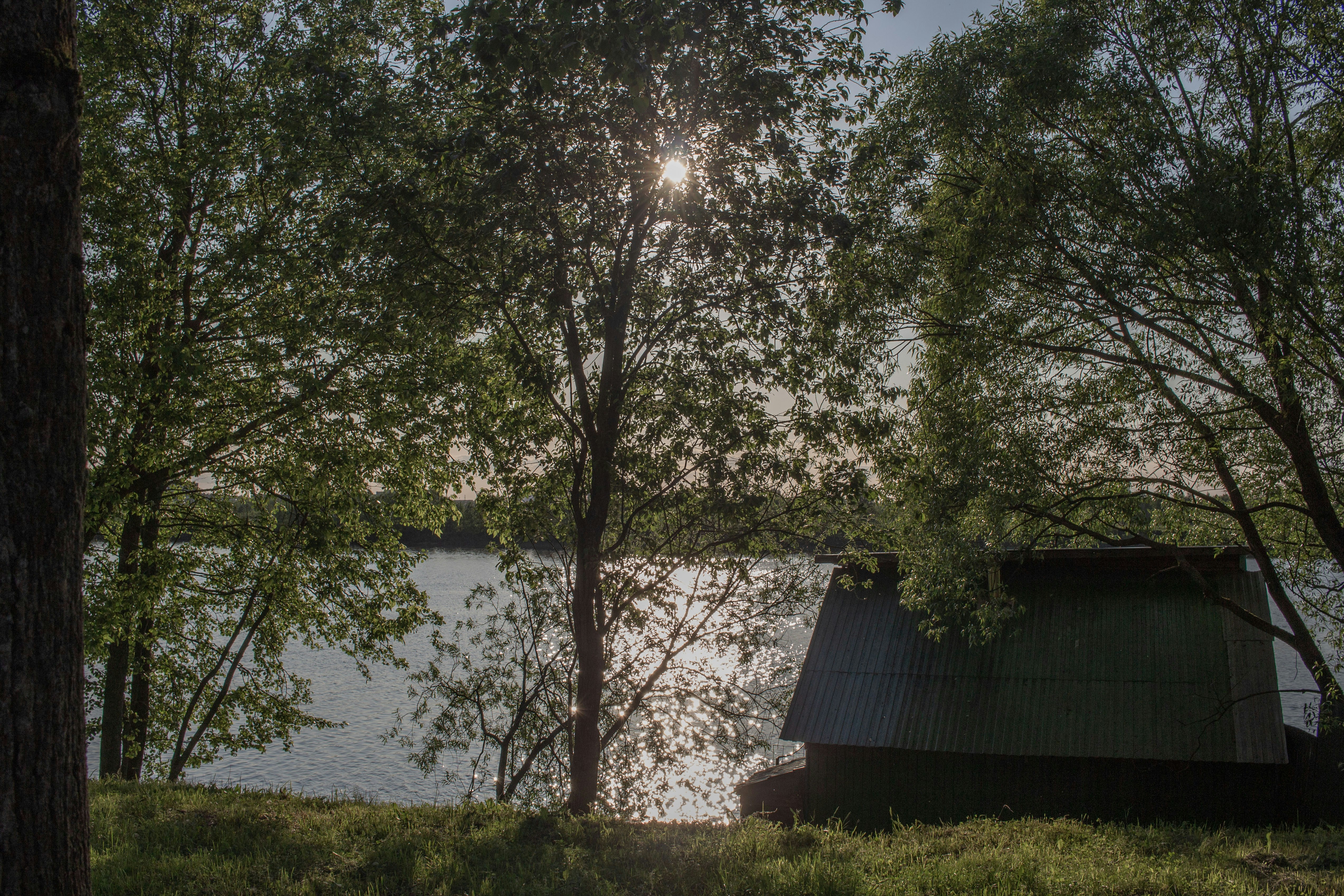 Photo by annie_smurova