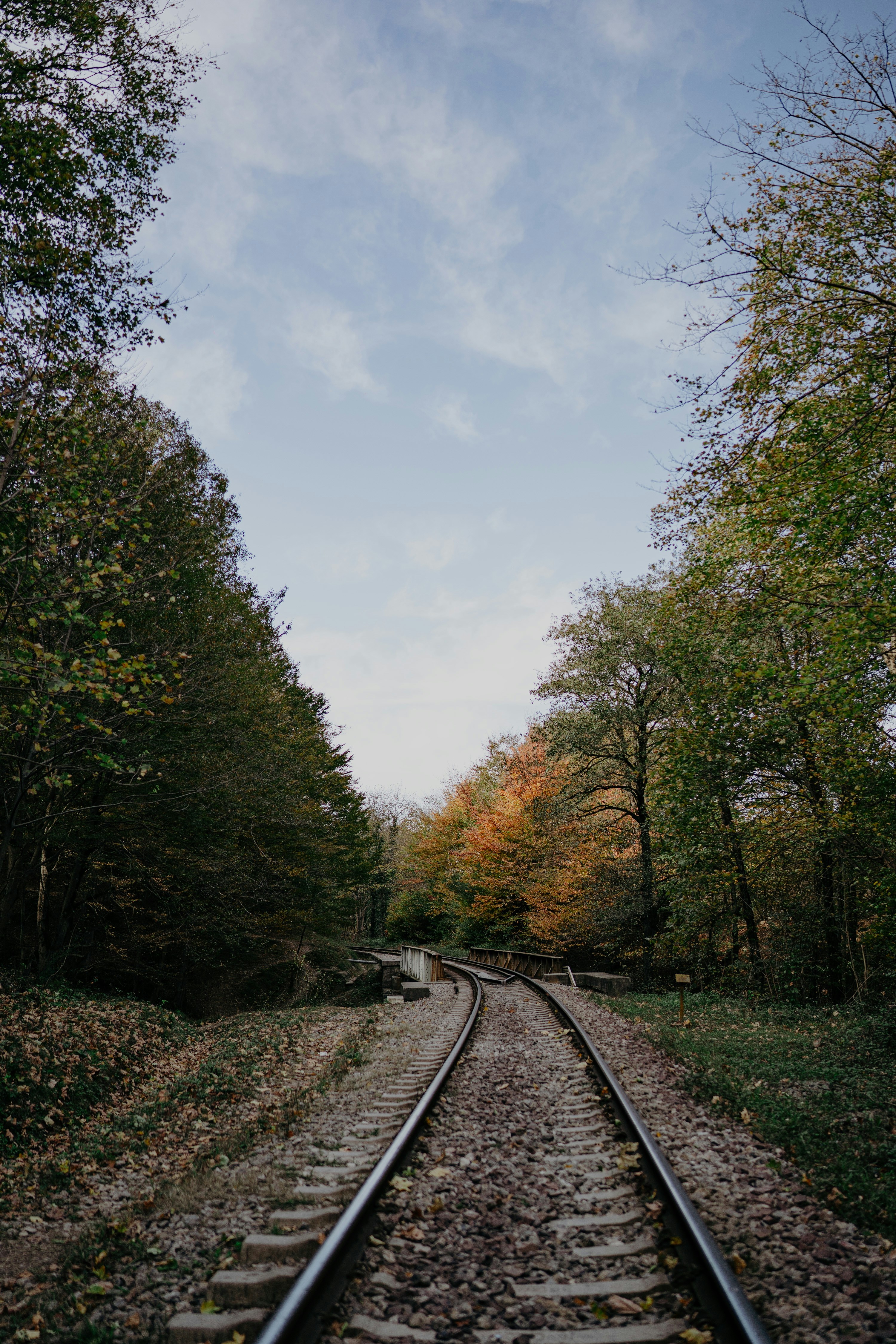 Photo by shayan_rostami