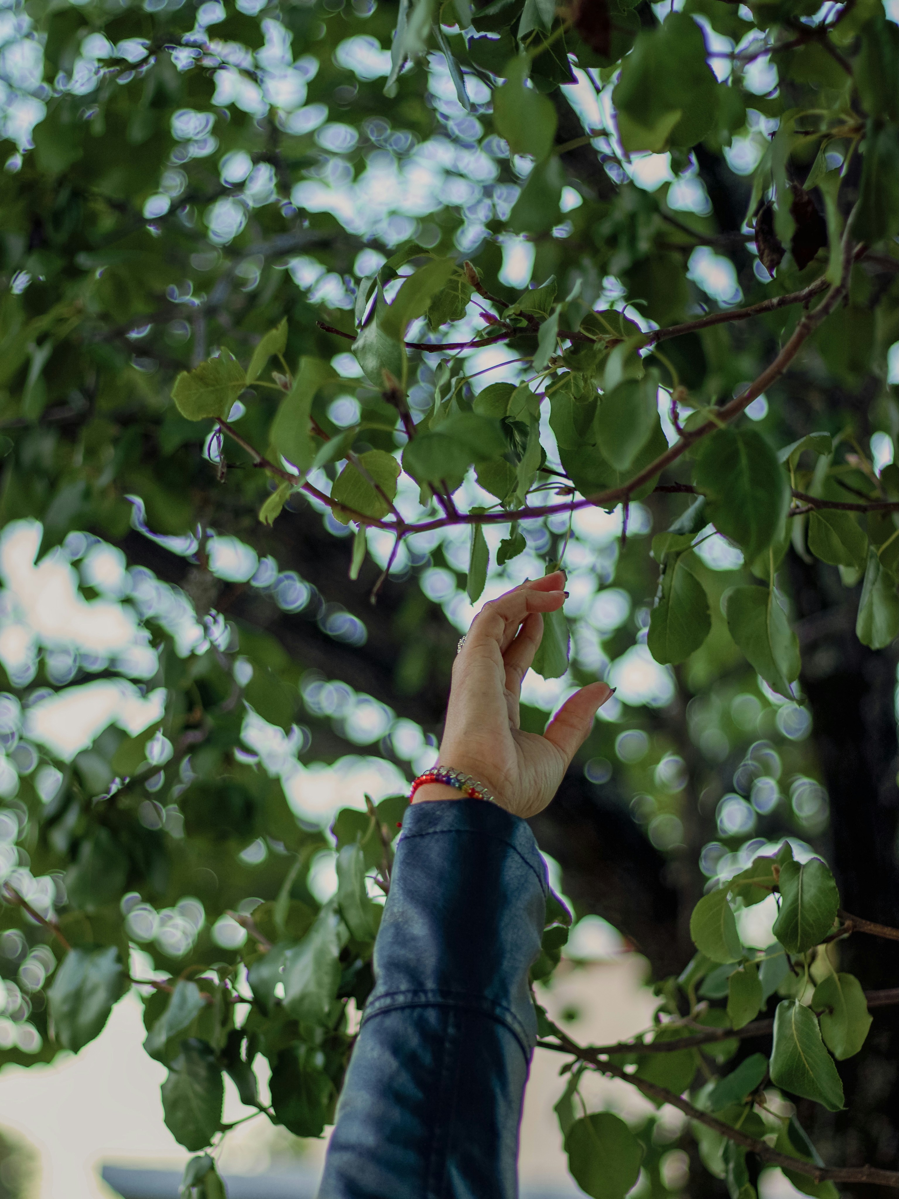 Photo by visionspinners