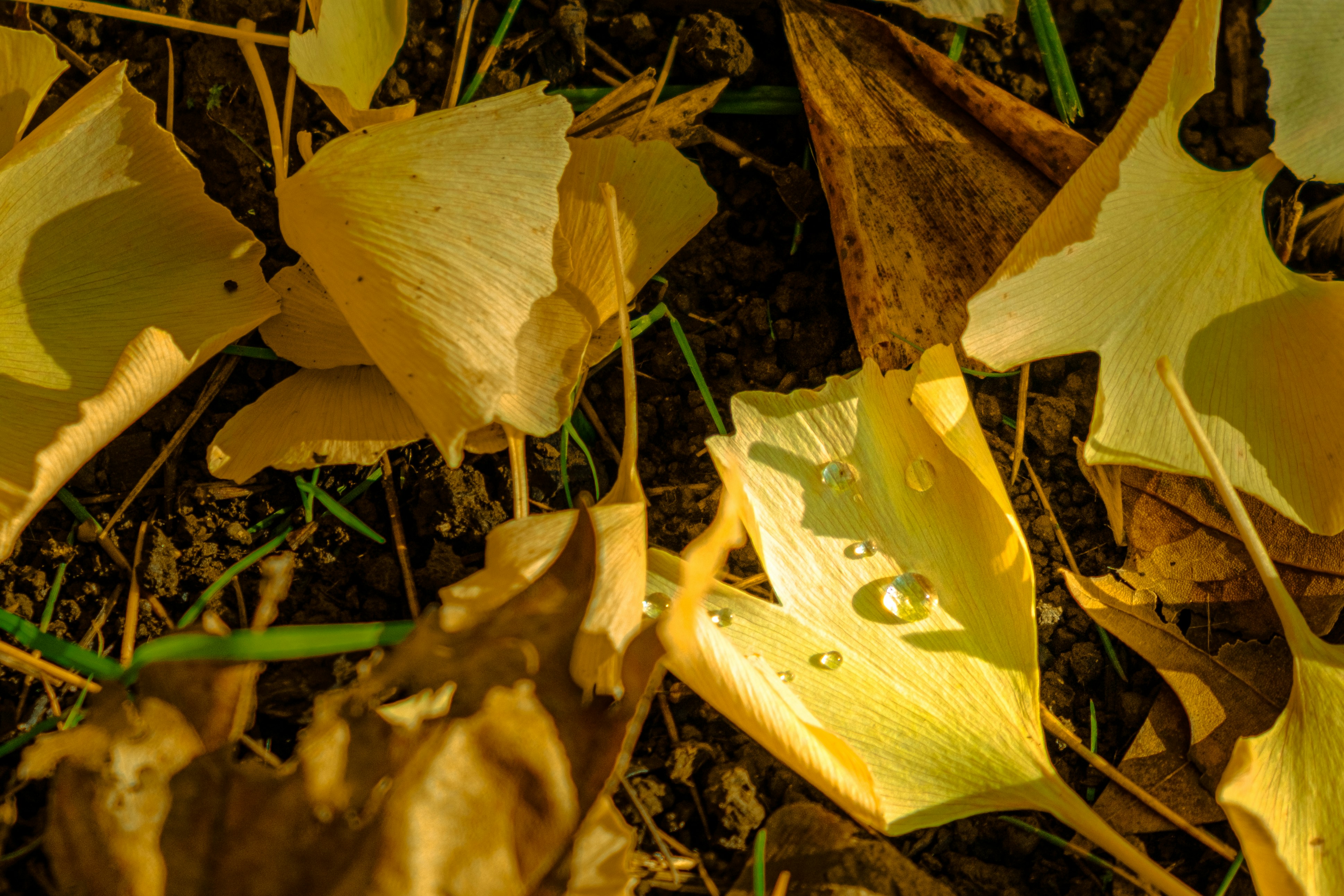 Photo by sammienguyen