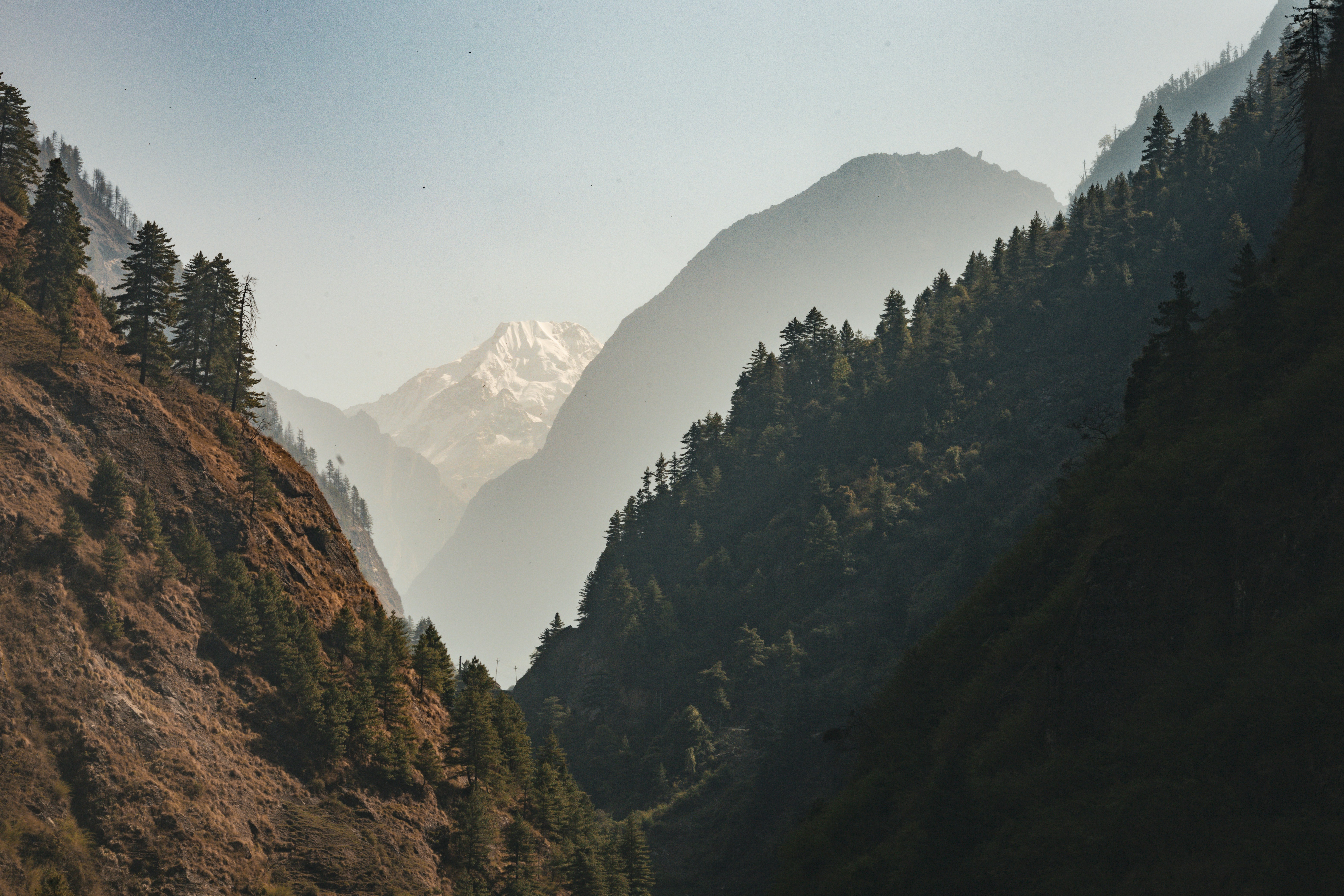 Mountains and forests are seen in the beautiful landscape.
