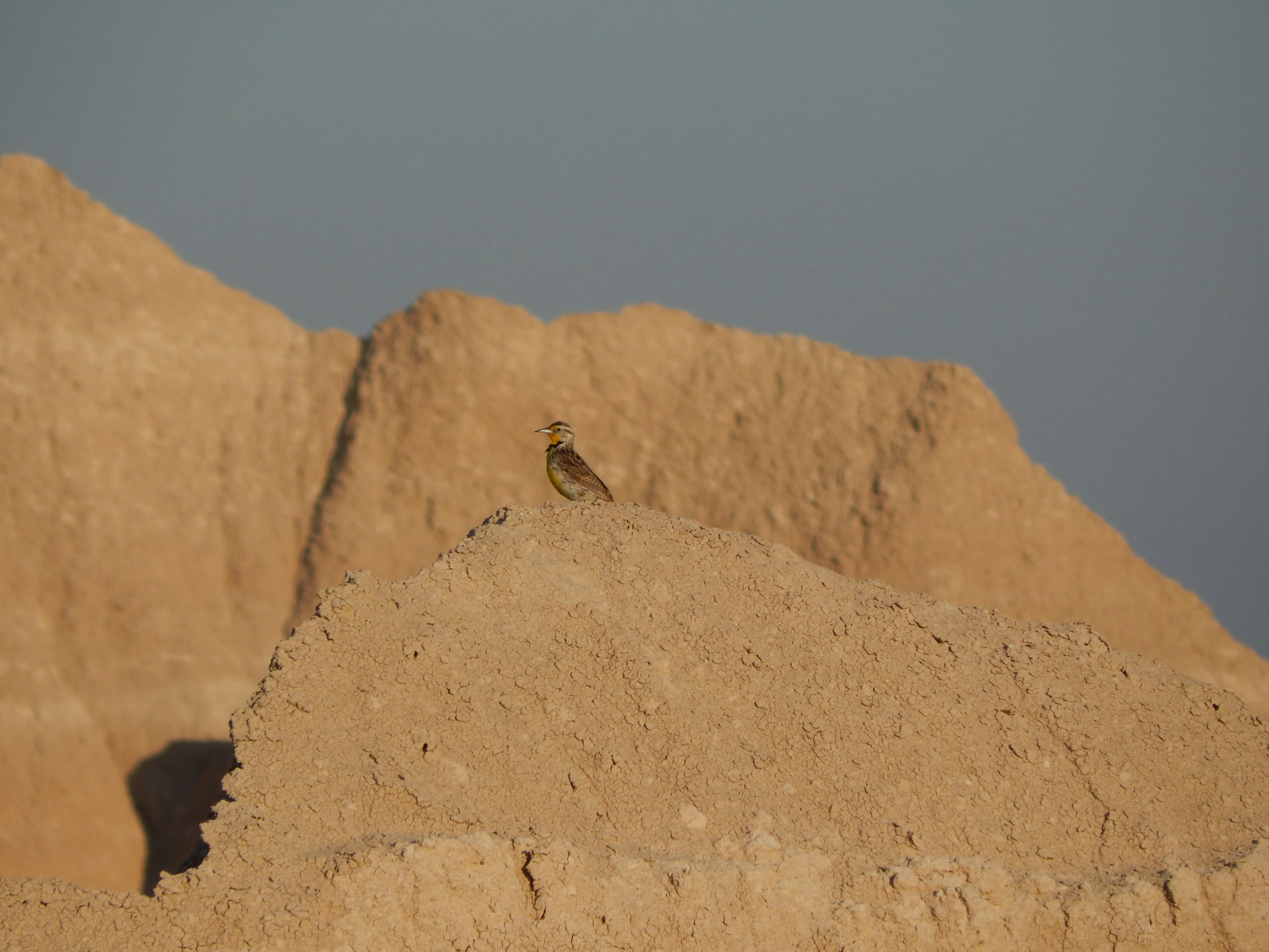 Photo by scarlettweiss