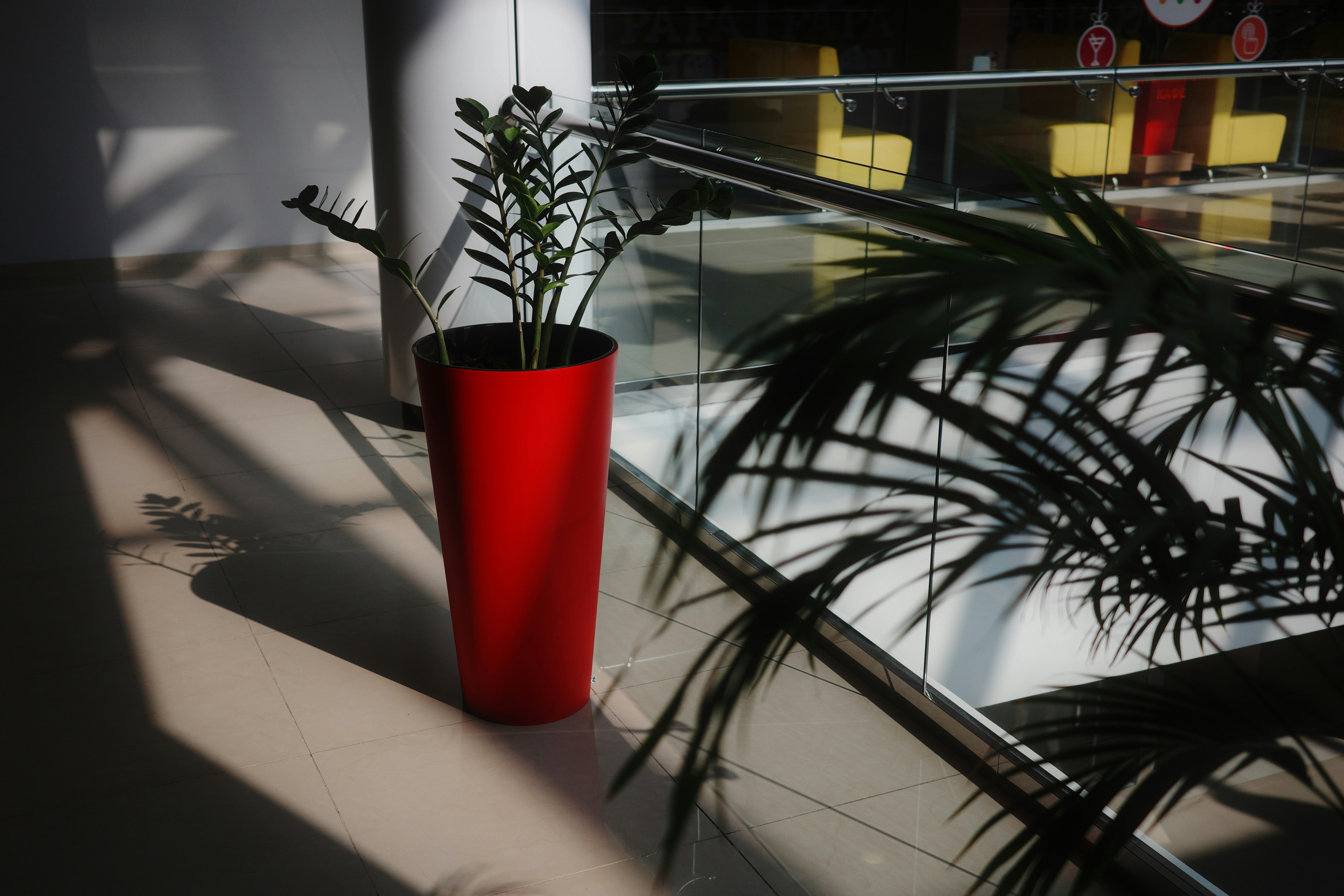 Natural light lobby with plants