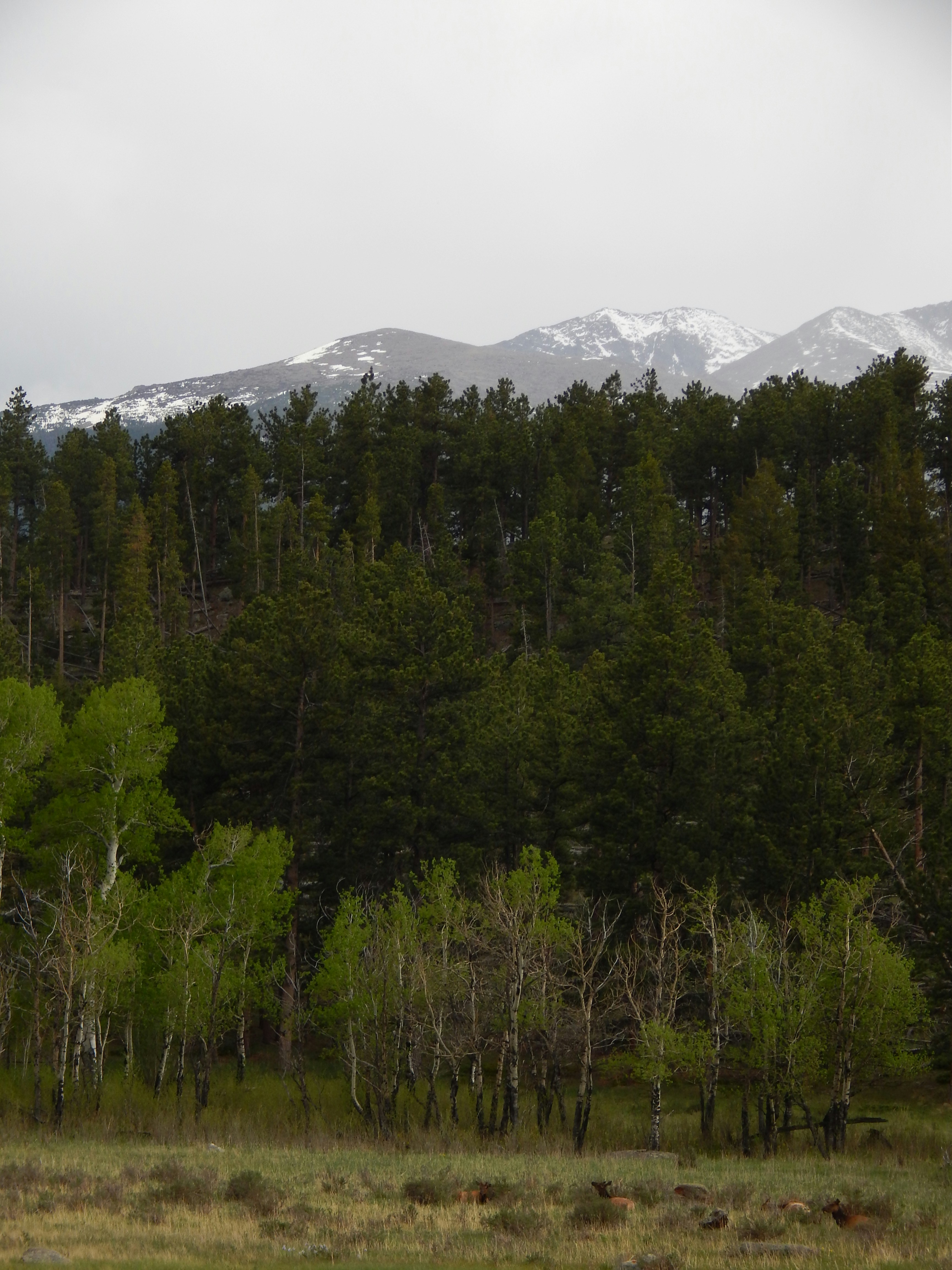 Photo by scarlettweiss