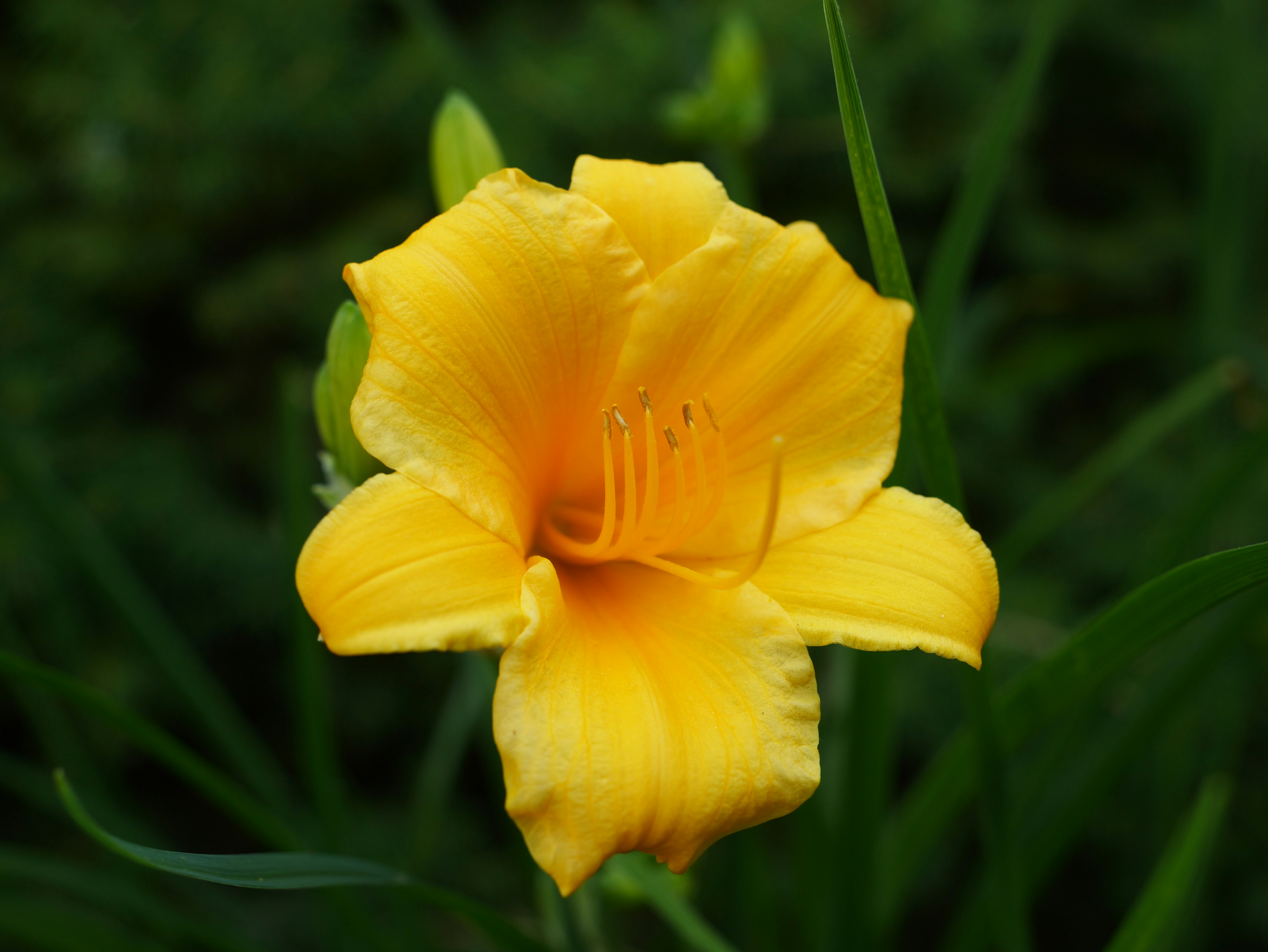 Photo by karonthompson