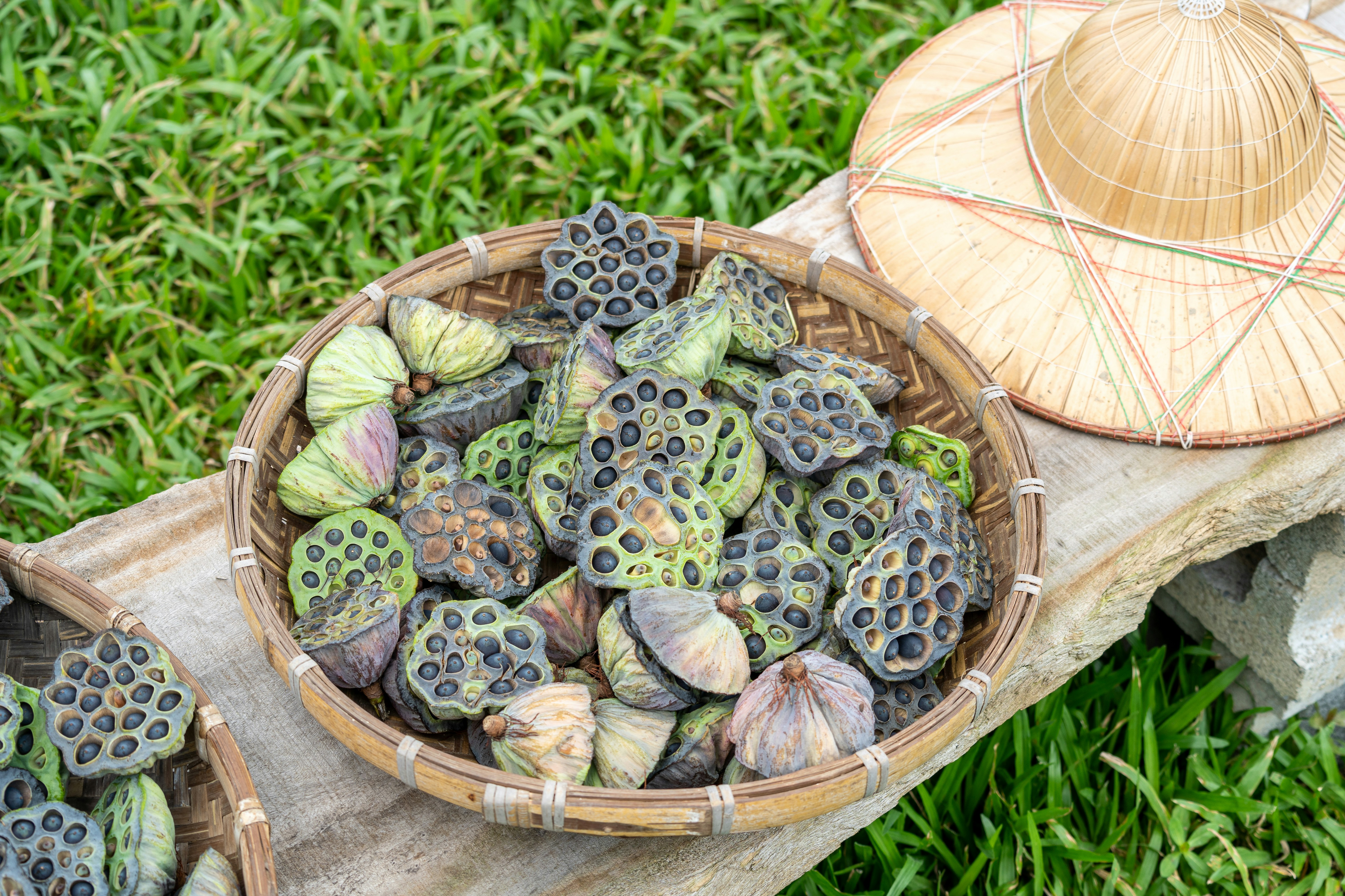 lotus seeds wallpaper, wallpaper, Biji Teratai: Camilan Sehat dengan Segudang Manfaat 5