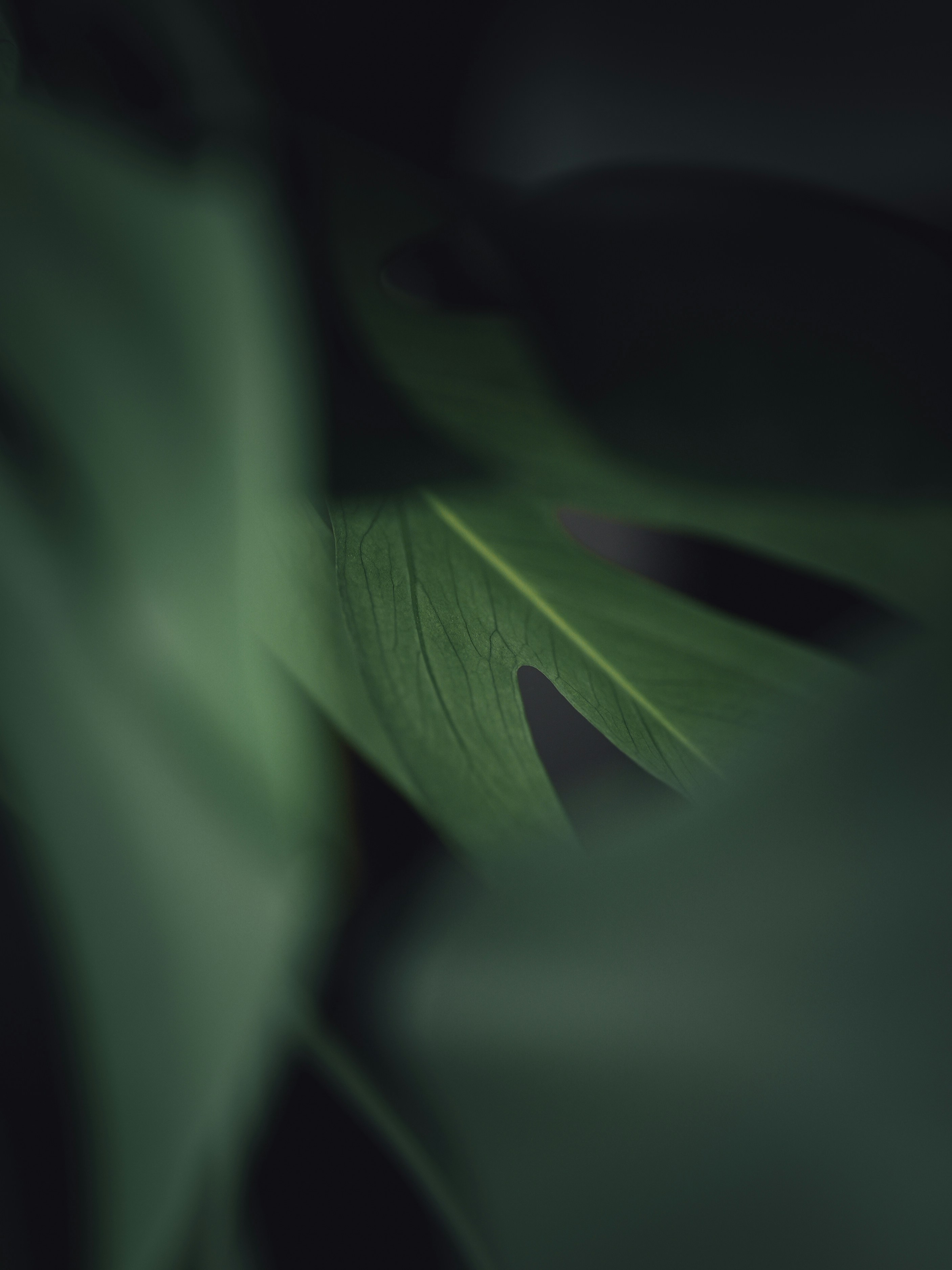 Photo by bruceshen0616