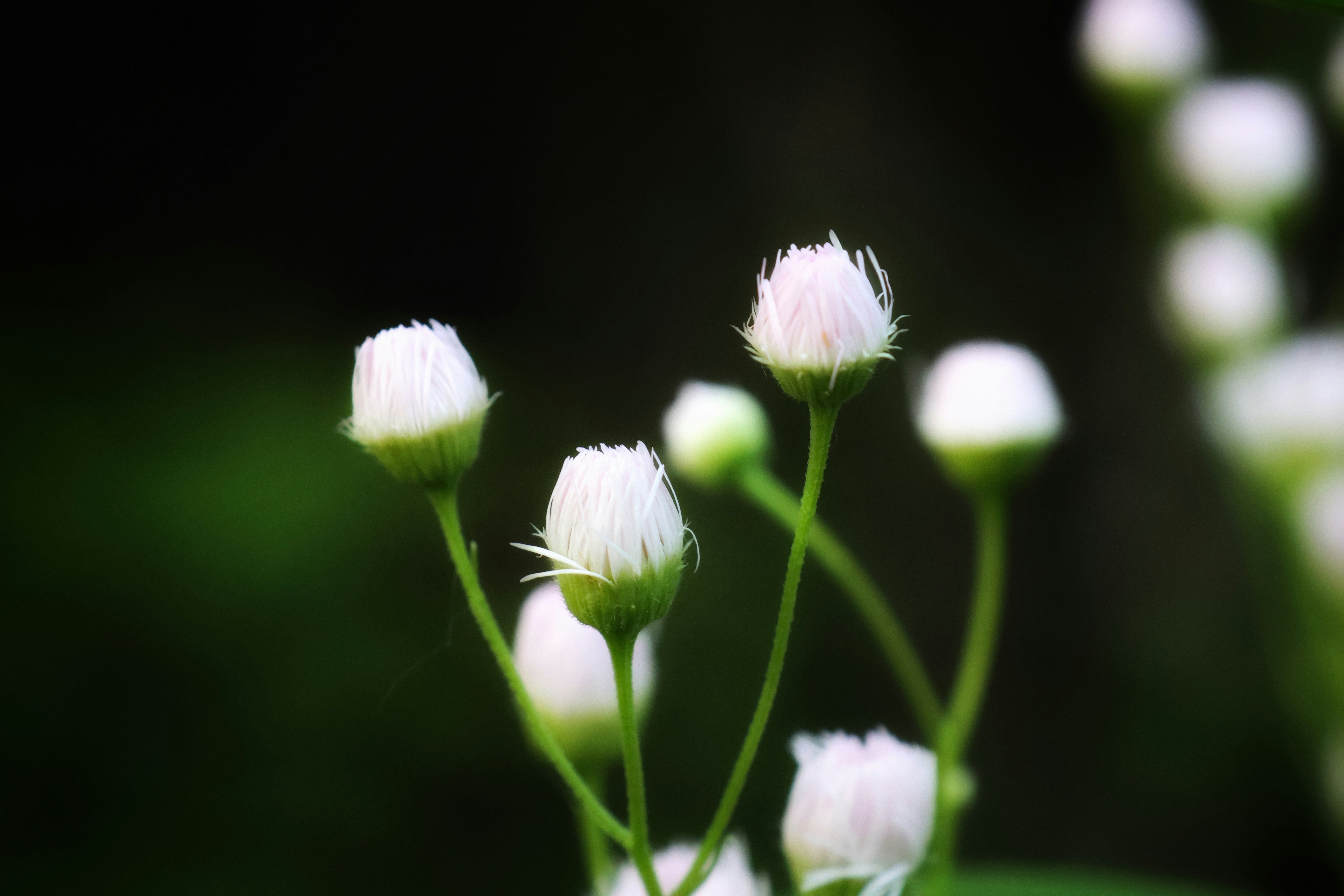 Photo by princeprajapati