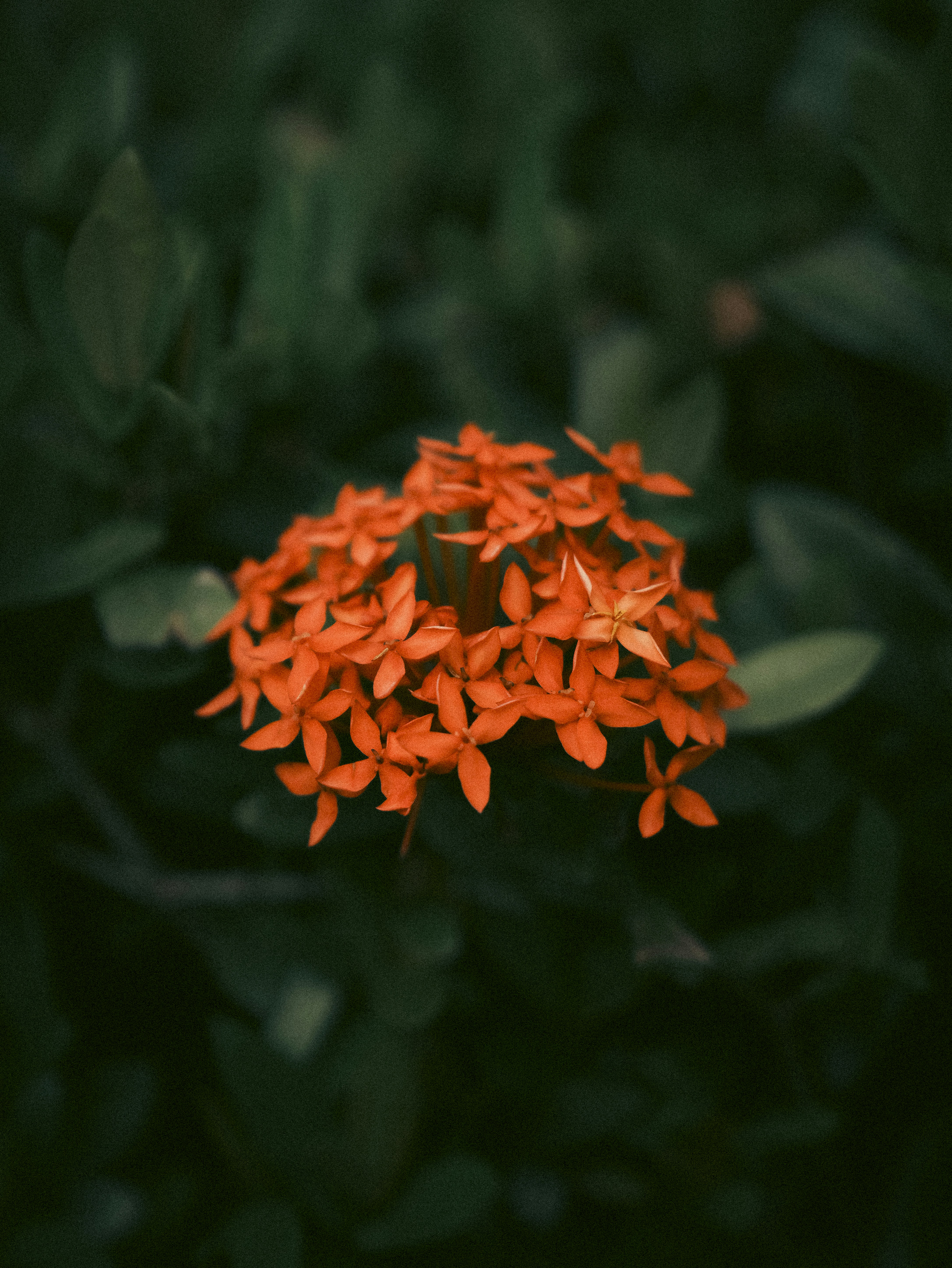 Photo by bruceshen0616