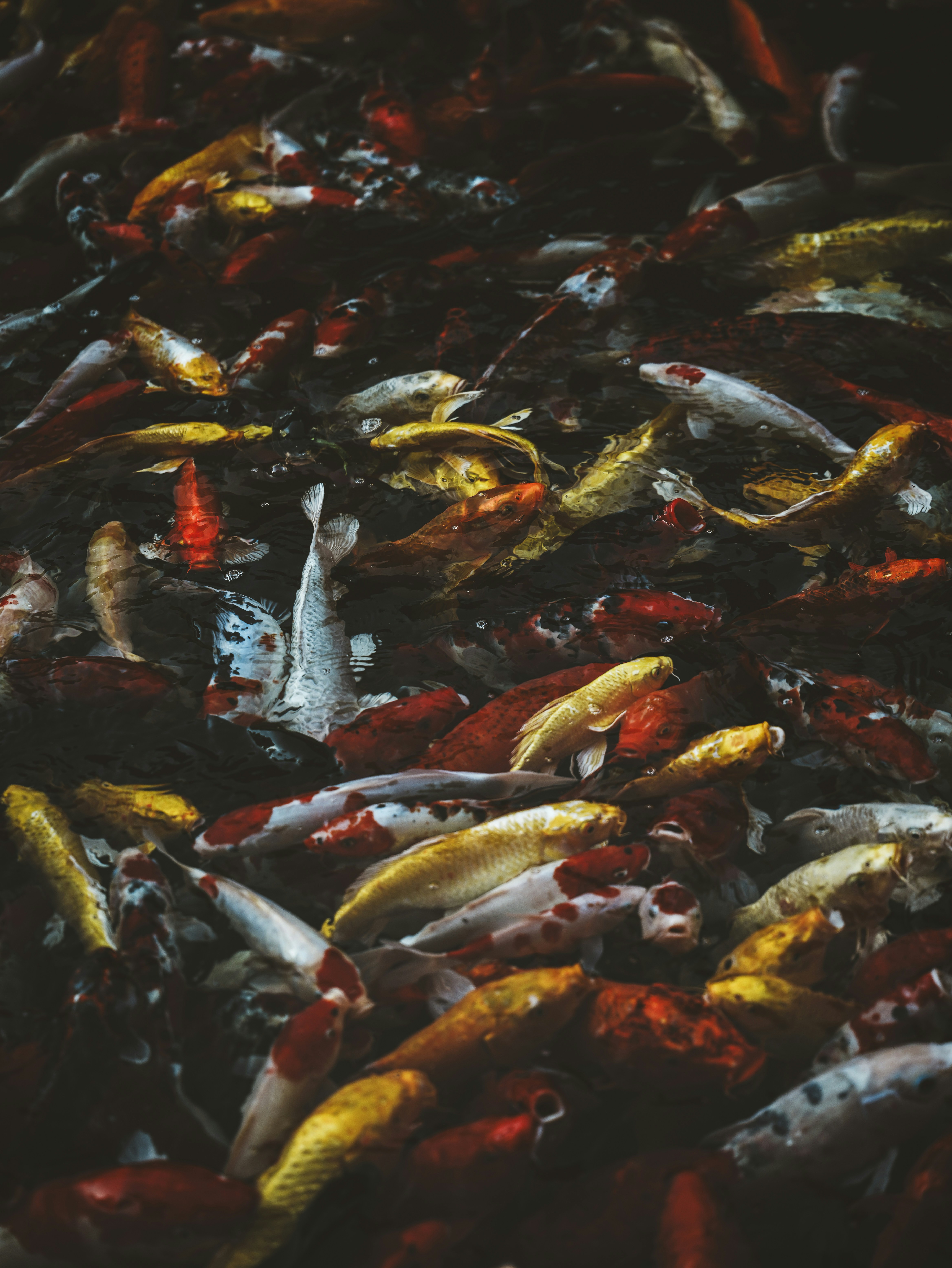 Photo by bruceshen0616