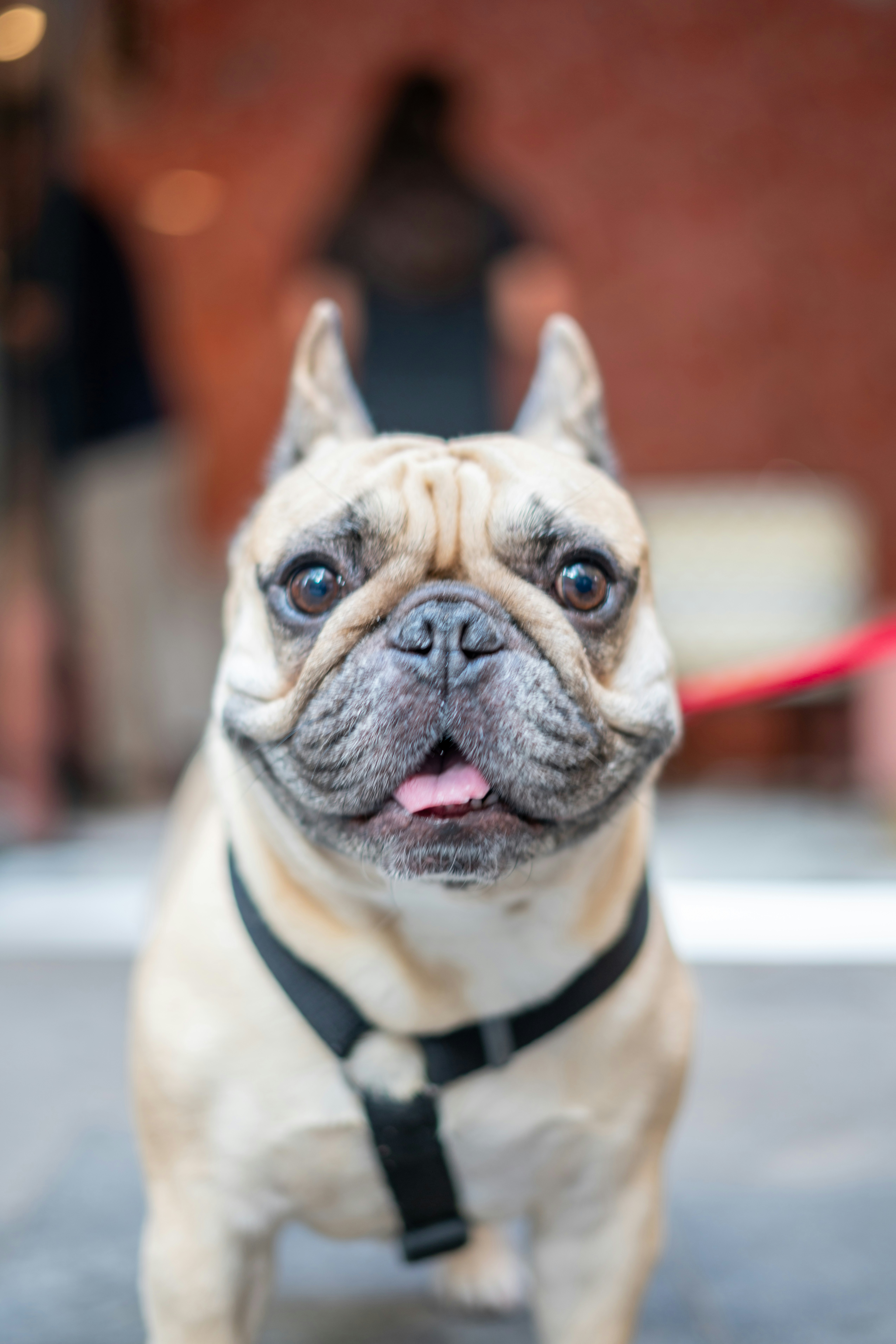 Photo by joshuaariel