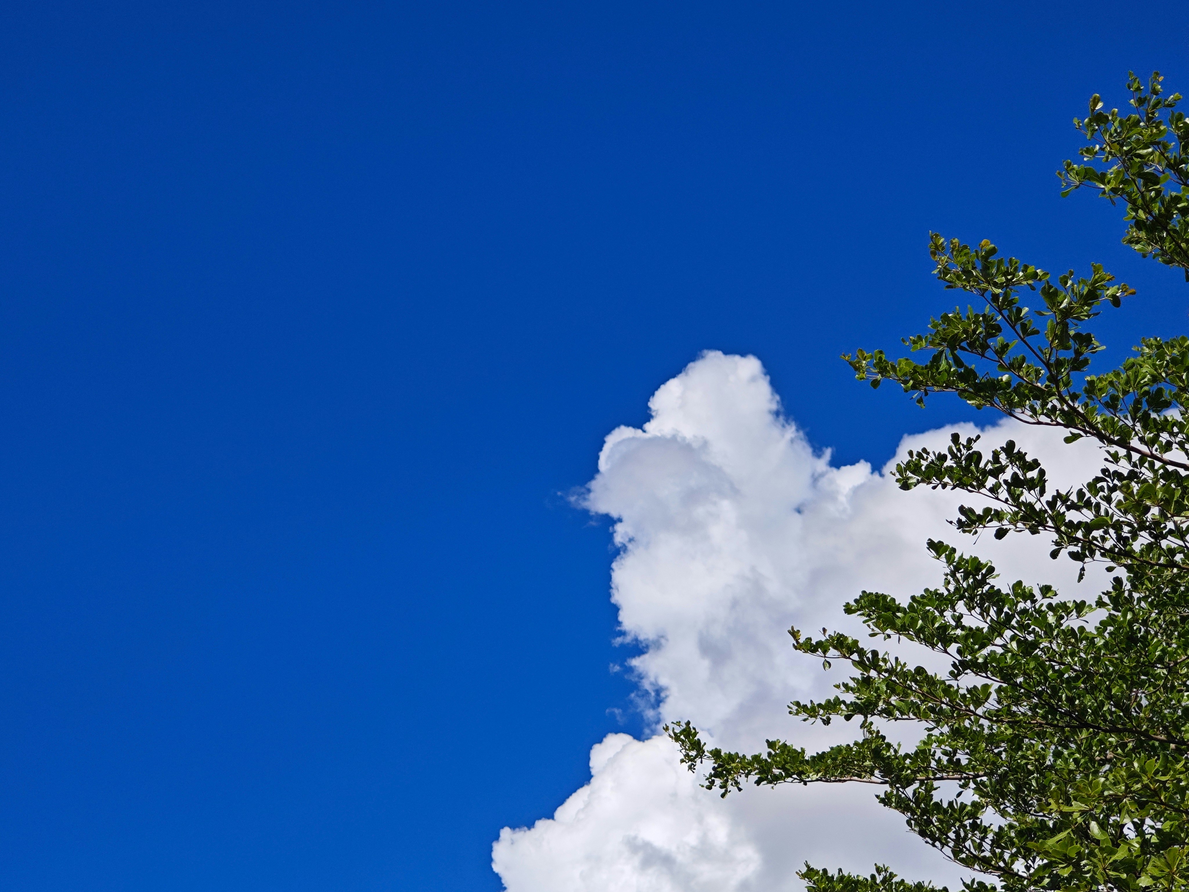 Photo by jacklovessunday