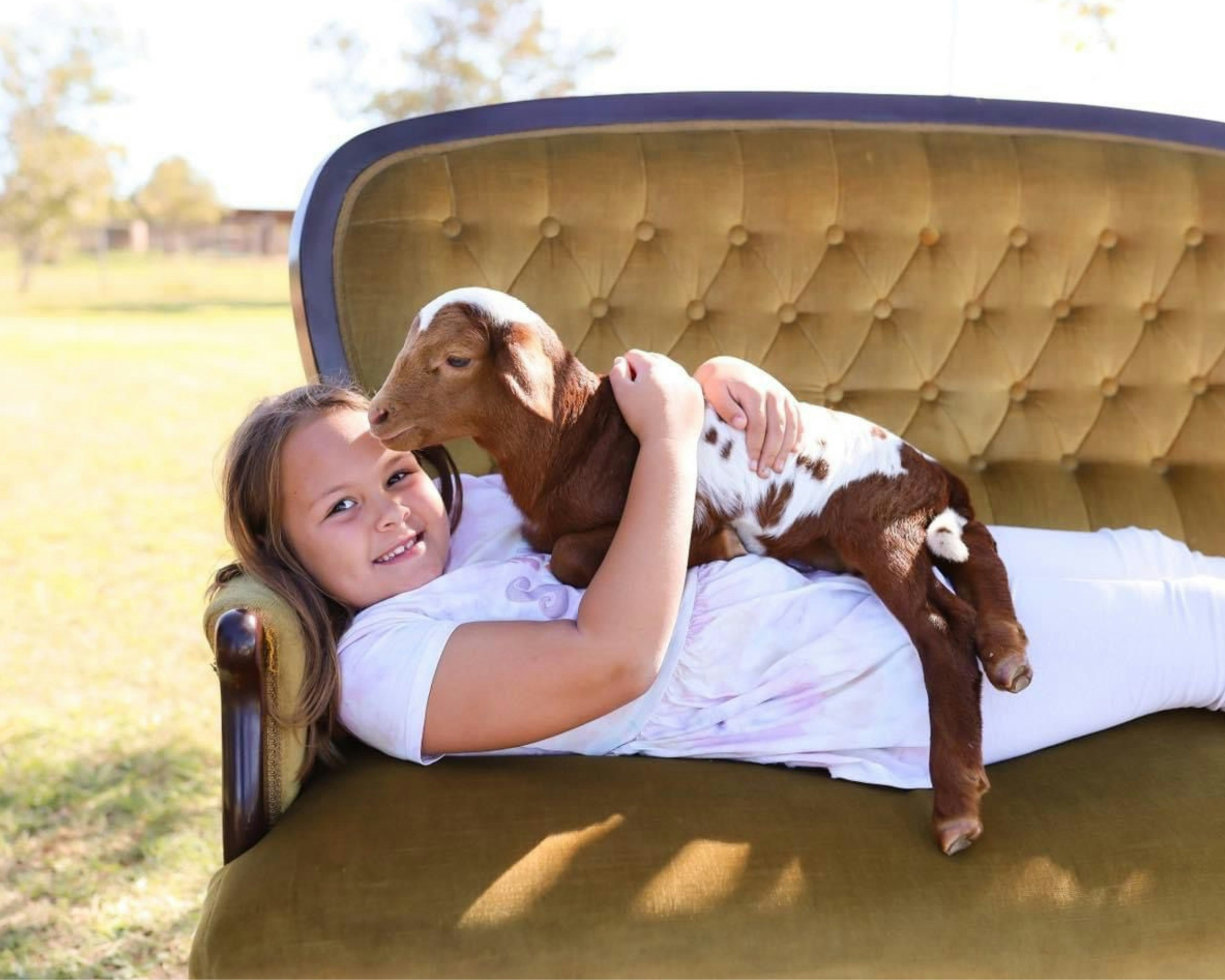 Girl cuddles a lamb on a couch.