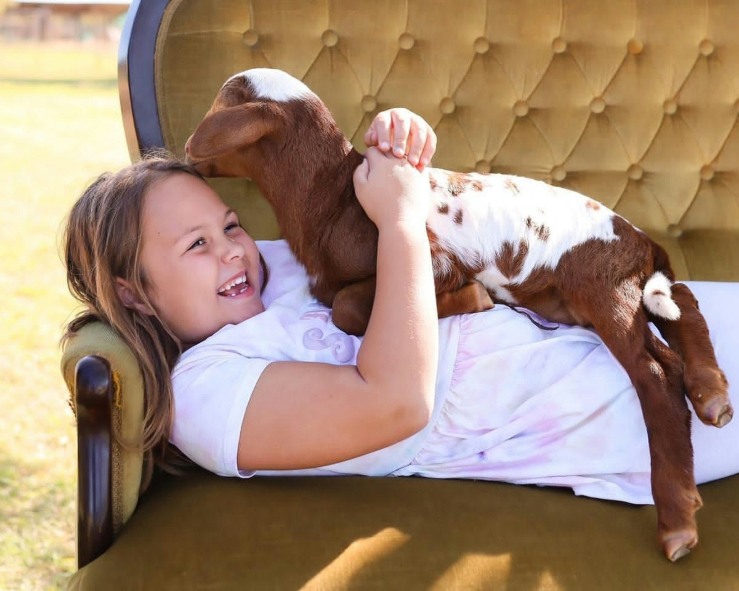 Girl and lamb cuddling on a vintage couch
