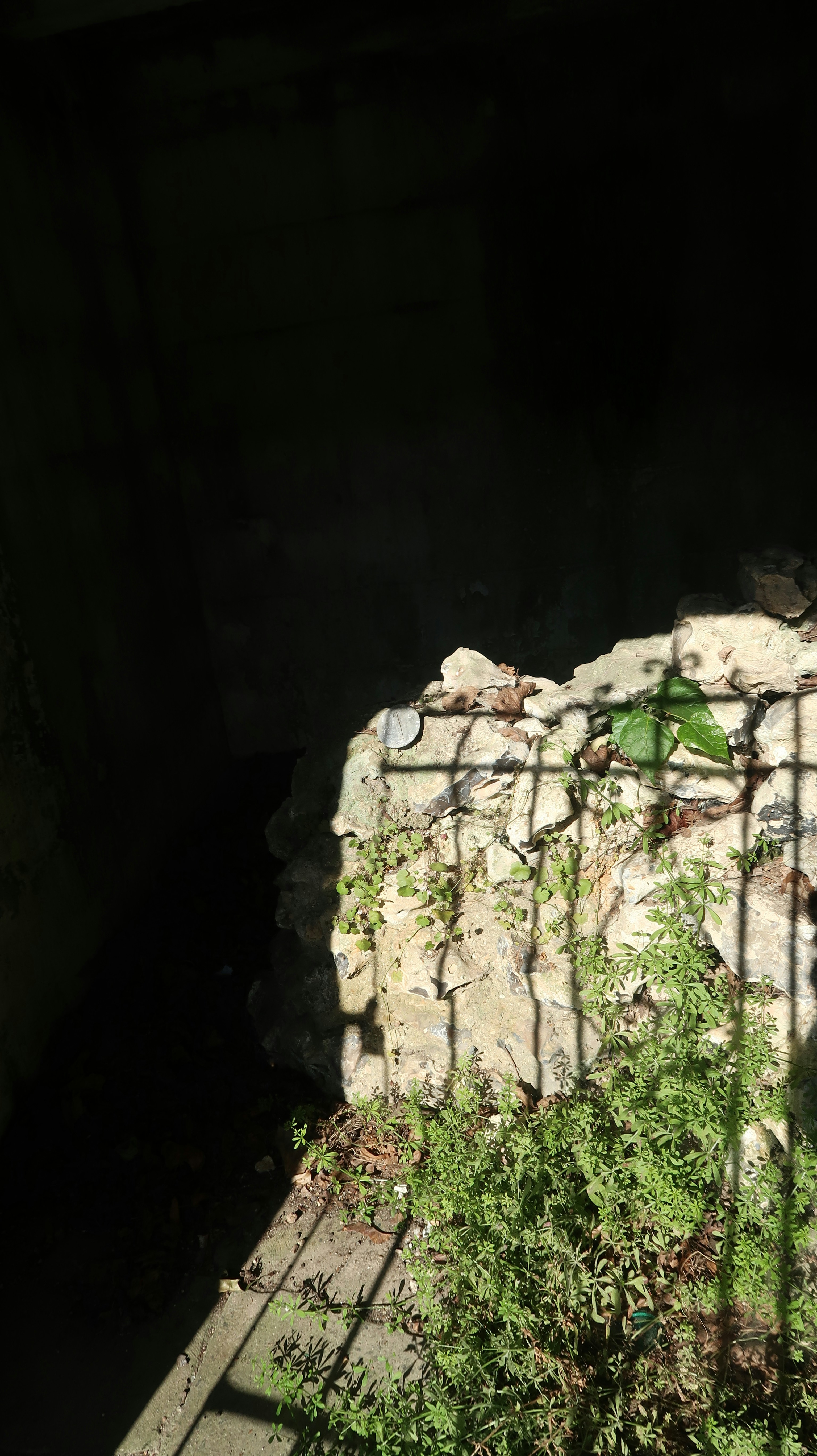 Photo by tanyabarrow