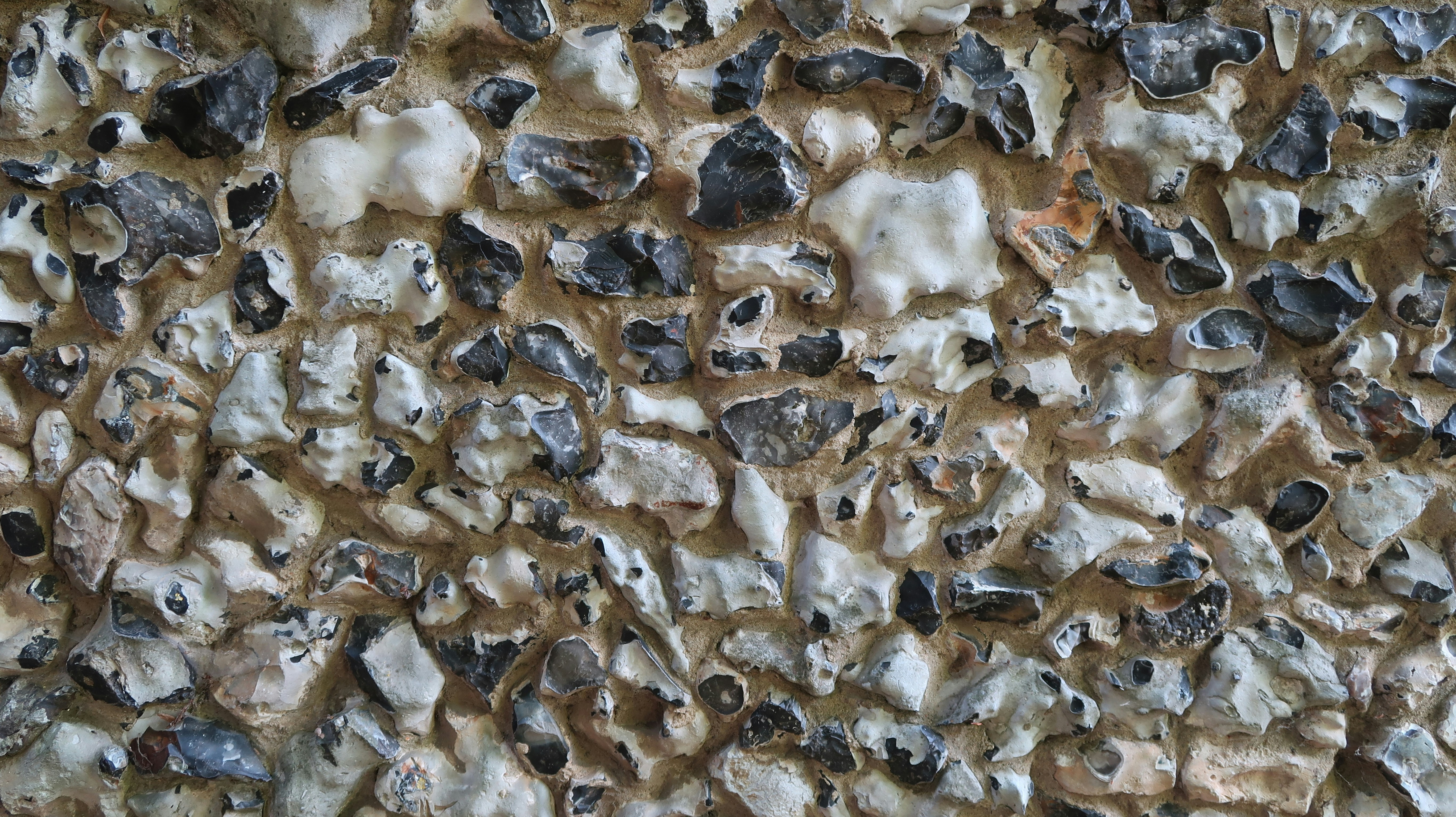 Photo by tanyabarrow