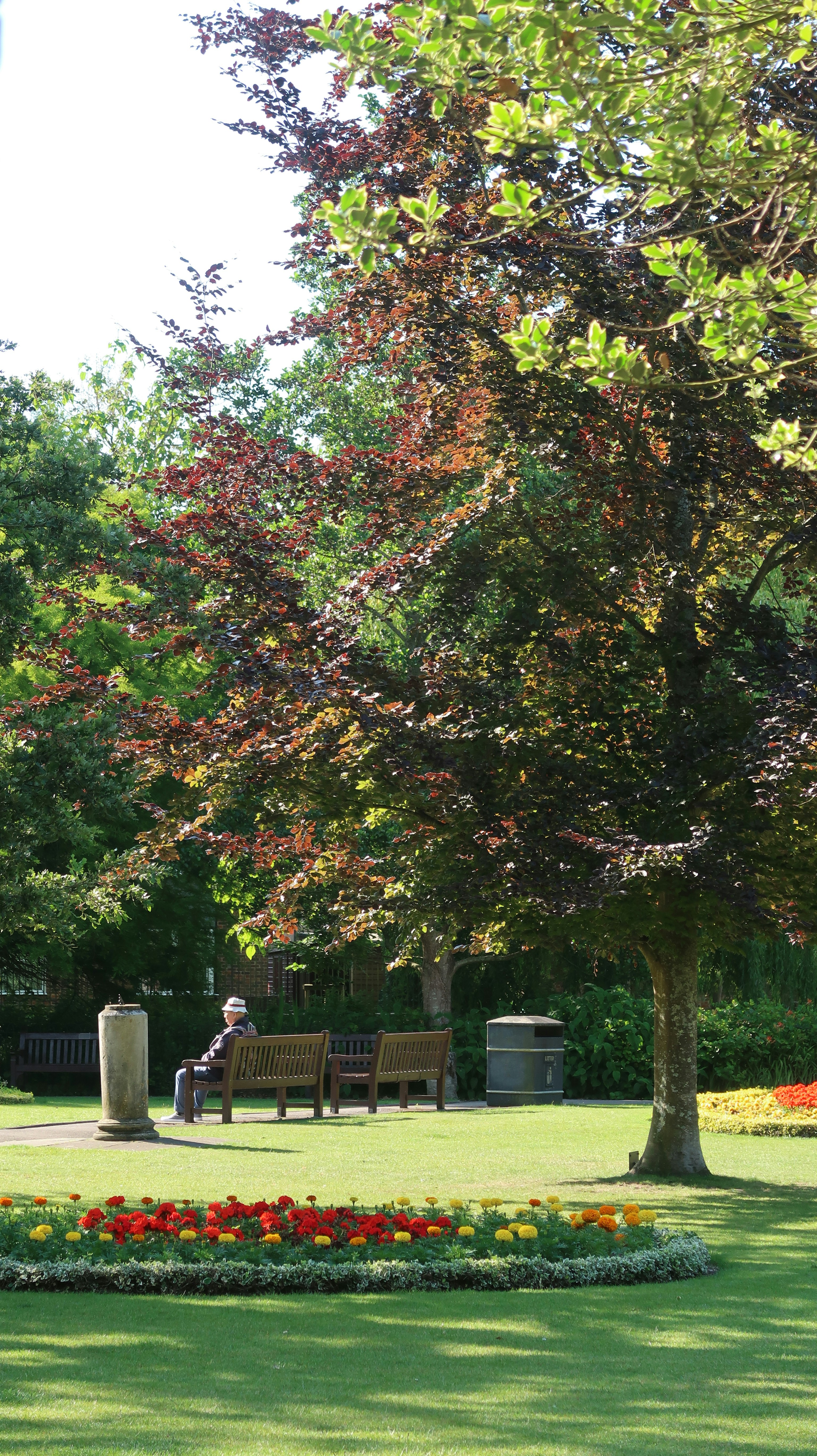 Photo by tanyabarrow