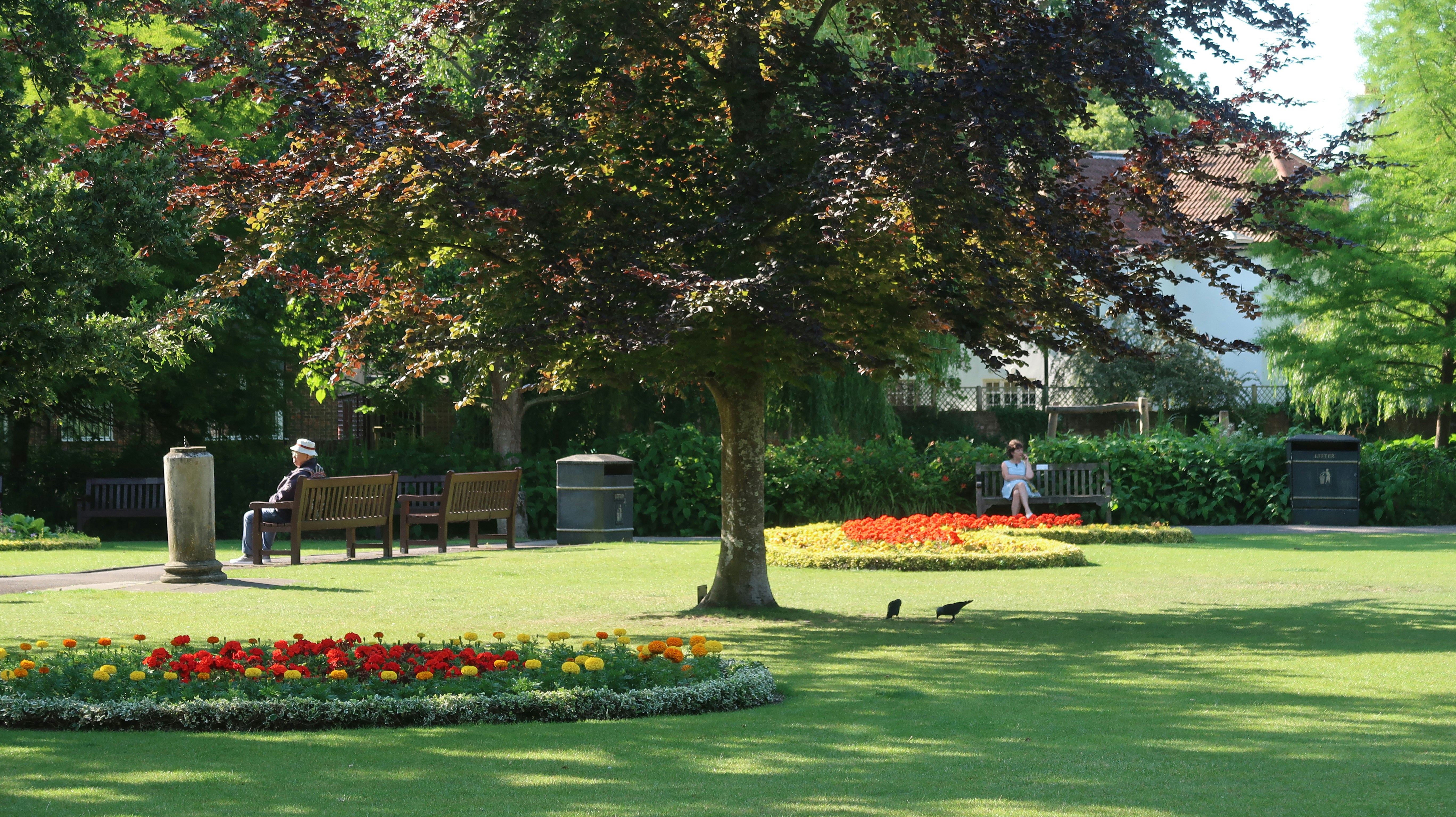 Canterbury Place Park