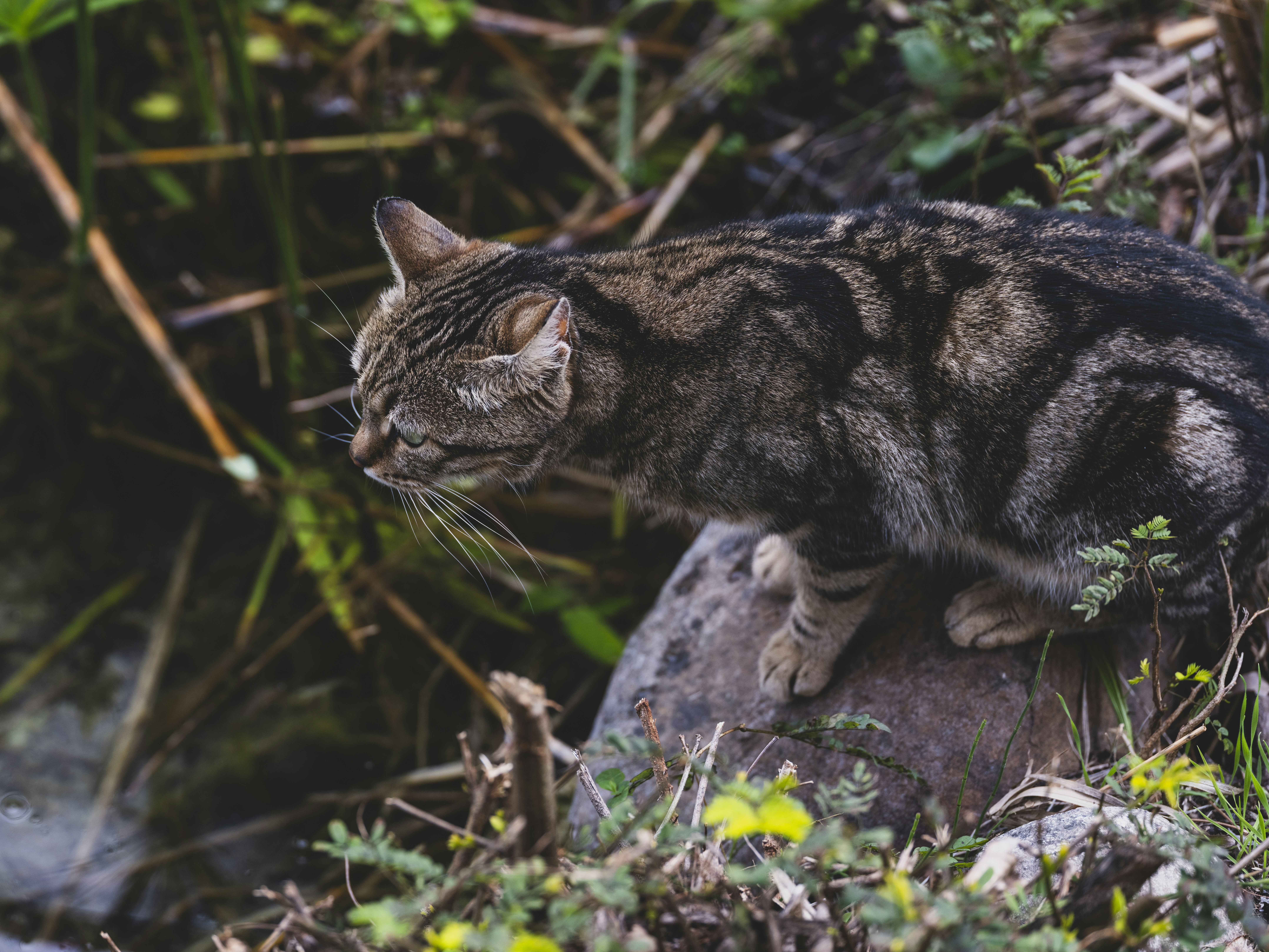 Photo by enginakyurt