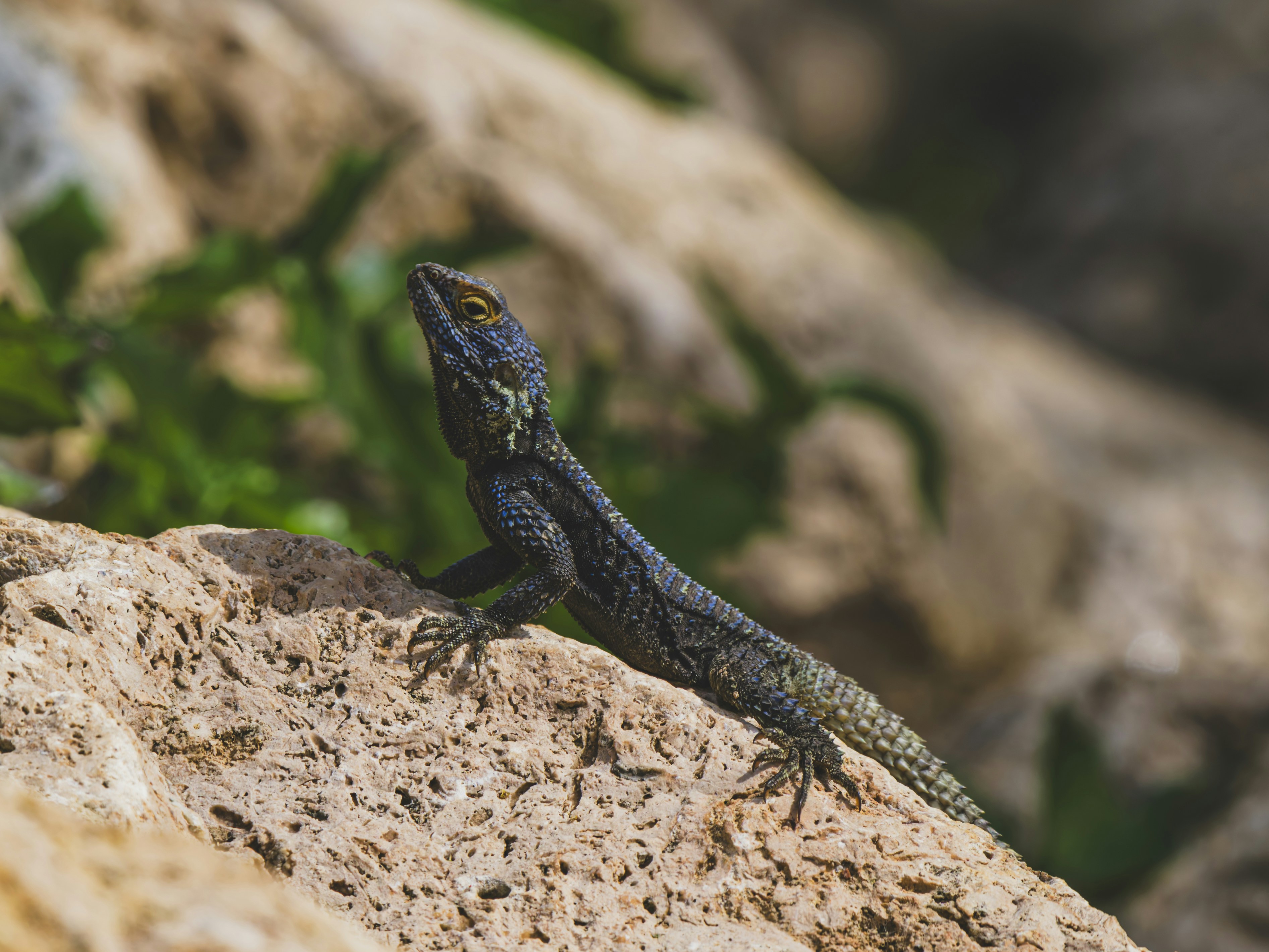 Photo by enginakyurt