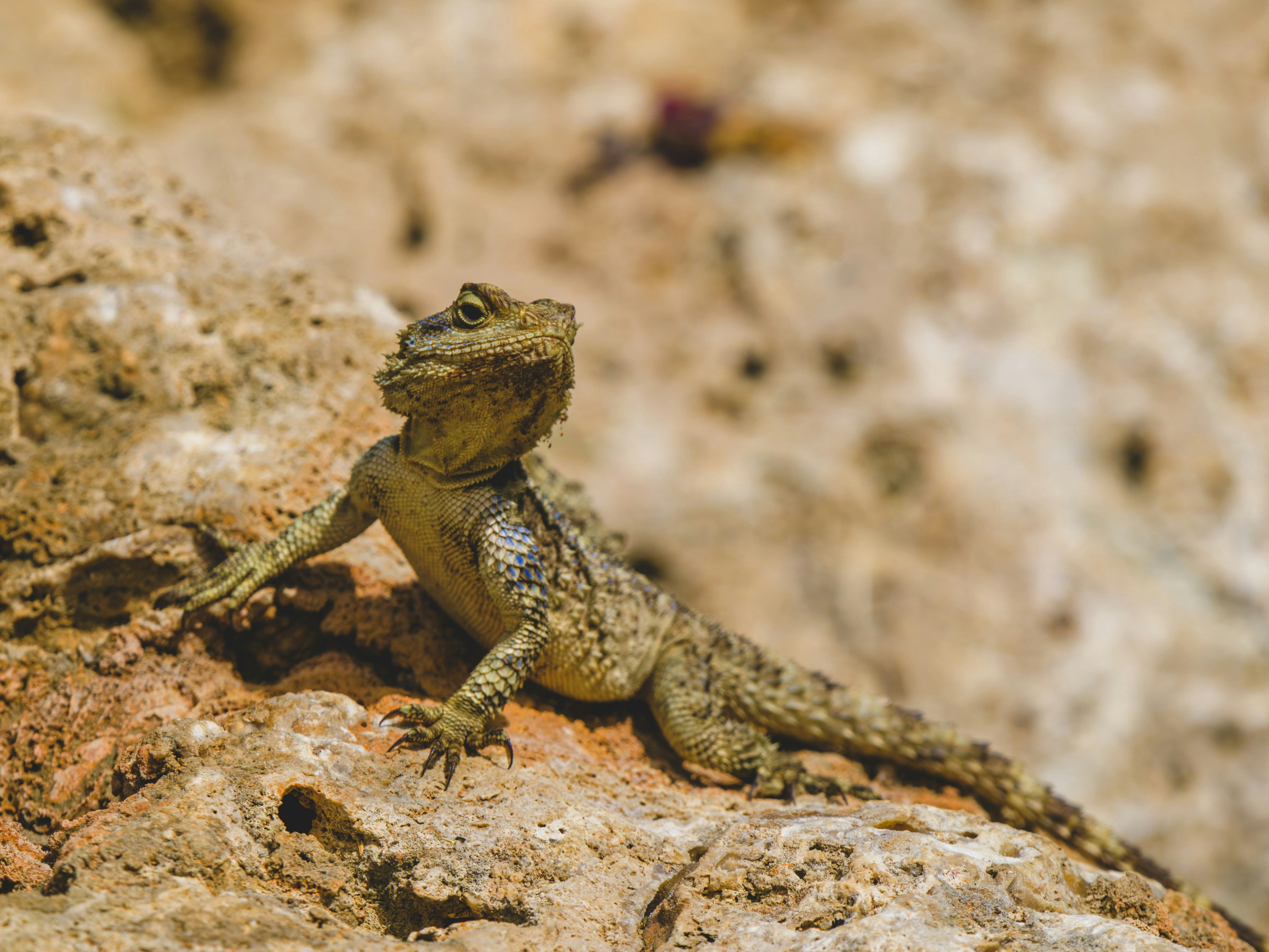 Photo by enginakyurt