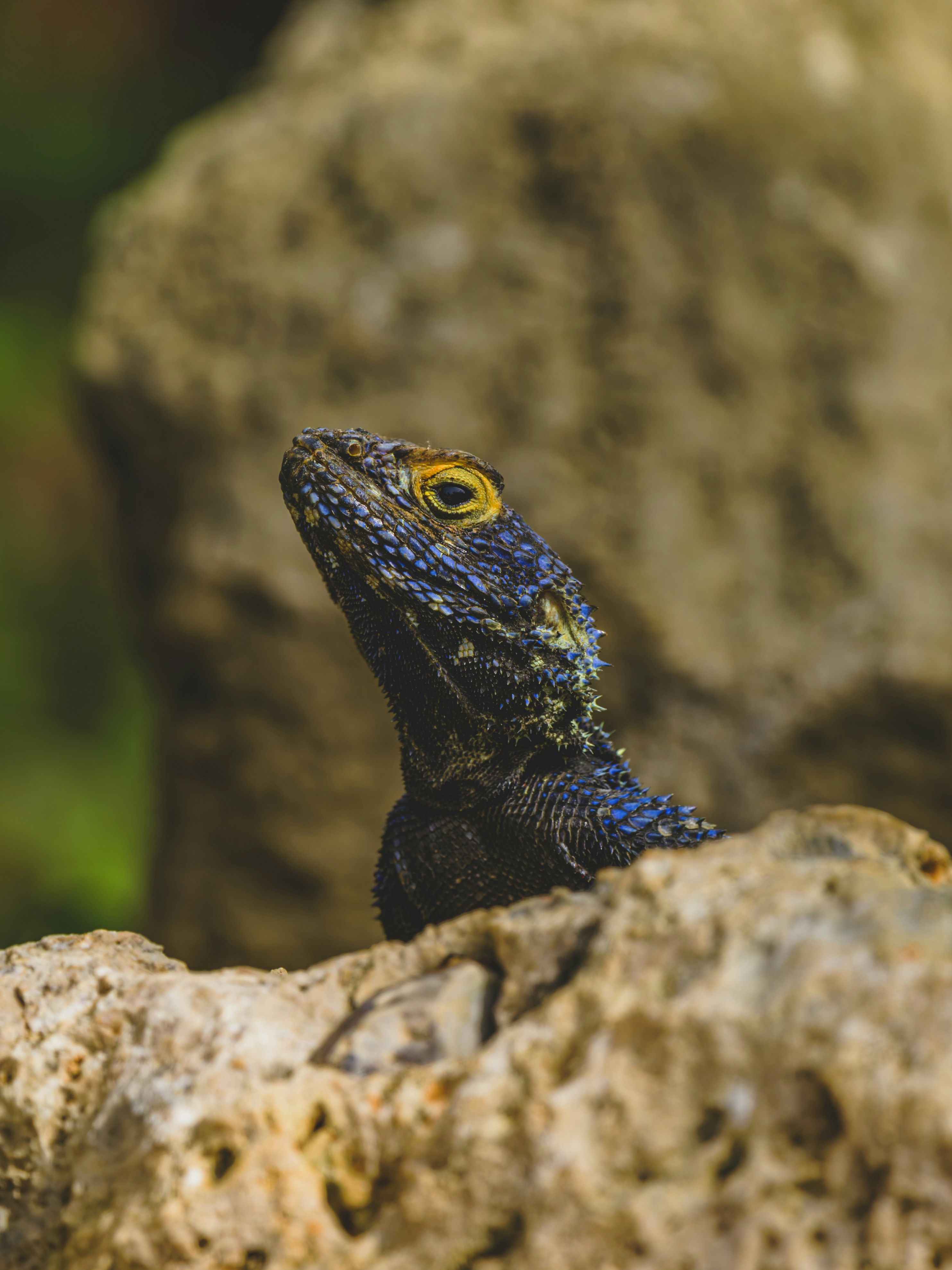 Photo by enginakyurt